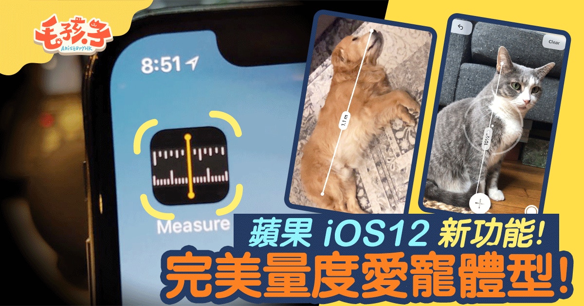 全球寵主瘋玩蘋果iOS 12新AR量度功能　狗主：我半夜弄醒牠來量身