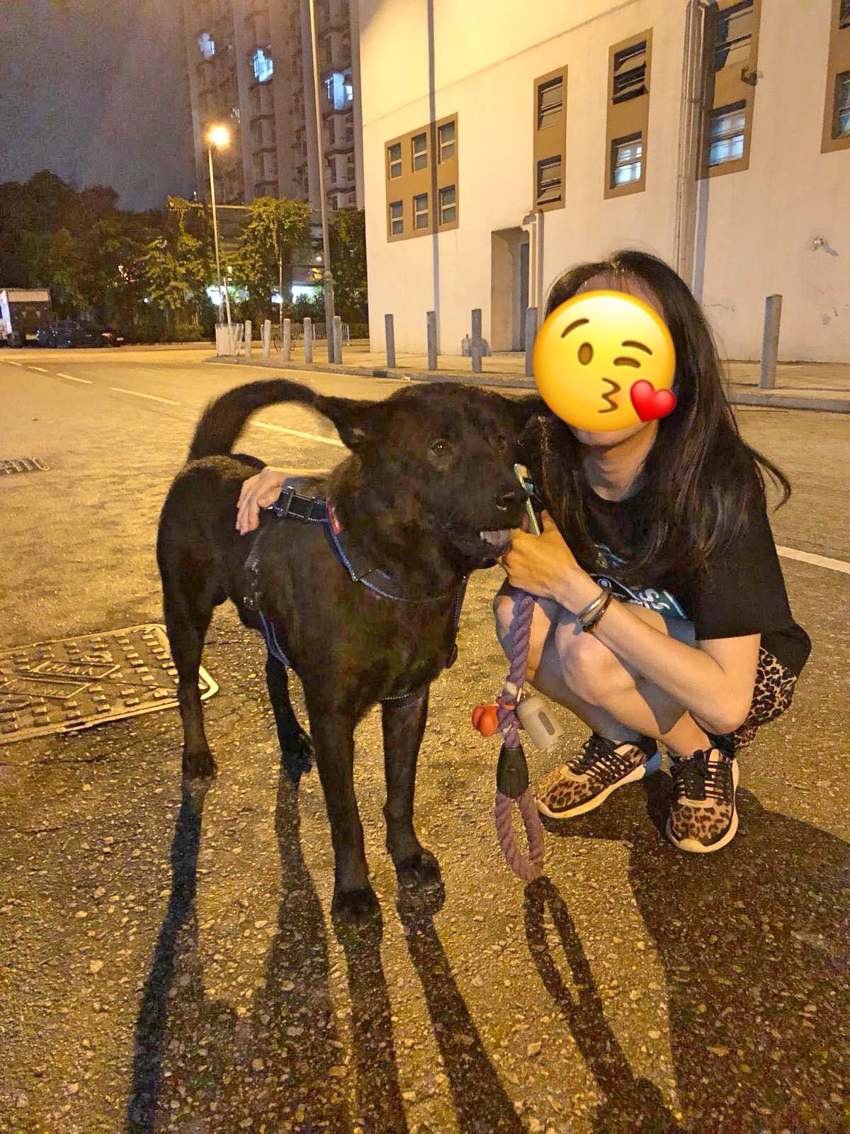 「阿7」甫到美容店時,表現得非常害怕。(受訪者提供) 「阿7」甫到美容店時,表現得非常害怕。(受訪者提供)