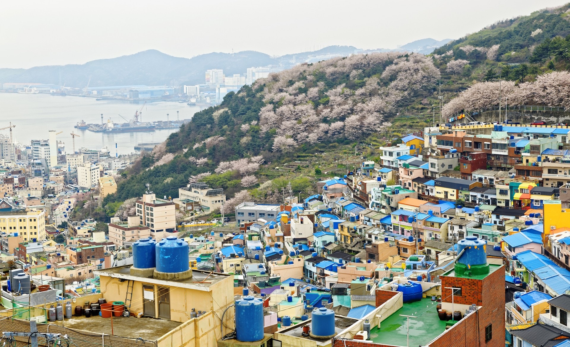 韓國釜山2018自由行懶人包　海雲臺甘川洞你必知必買必做的事