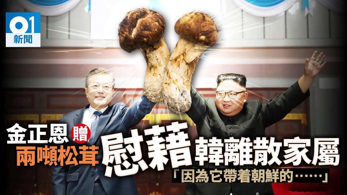 金正恩兩噸手信抵韓 文在寅轉送離散家屬 朝鮮名貴特產是甚麼? 金正恩兩噸手信抵韓 文在寅轉送離散家屬 朝鮮名貴特產是甚麼?