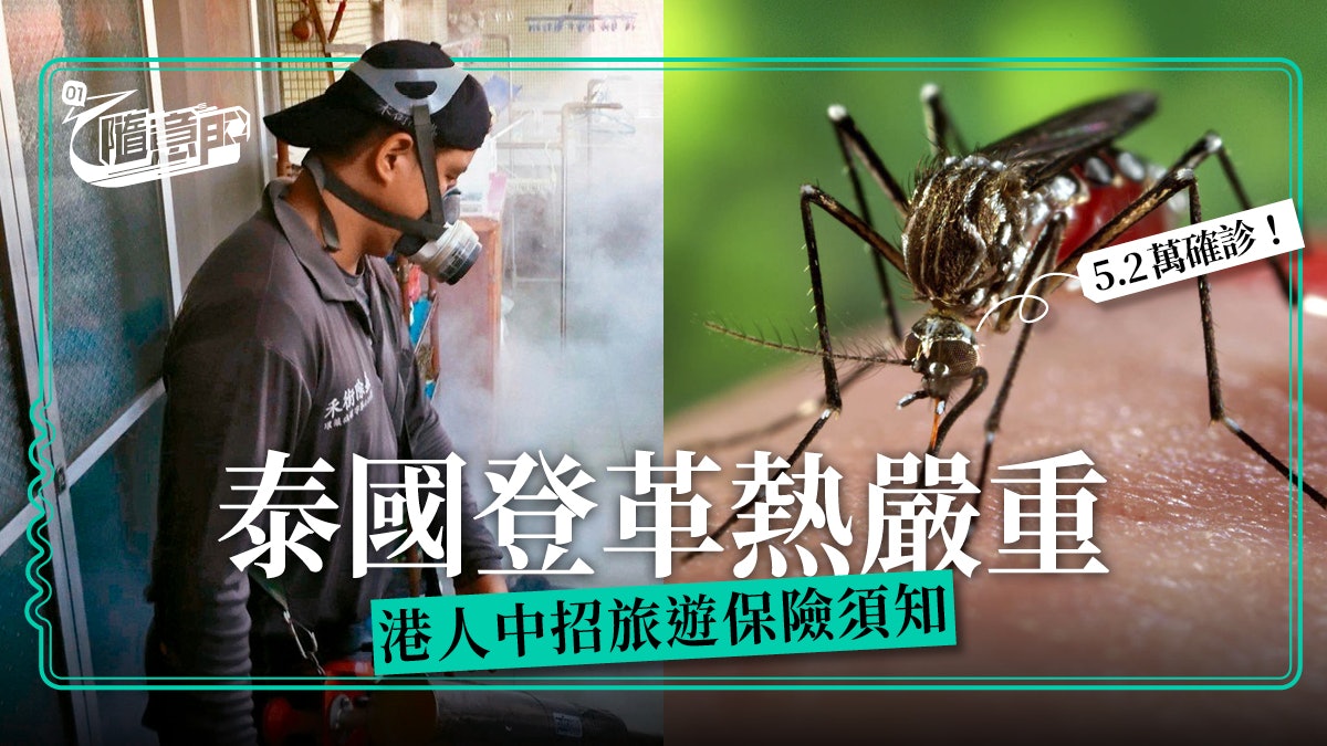 【旅行.熱話】5萬多人染病!曼谷5死 感染登革熱旅保包唔包? 【旅行.熱話】5萬多人染病!曼谷5死 感染登革熱旅保包唔包?