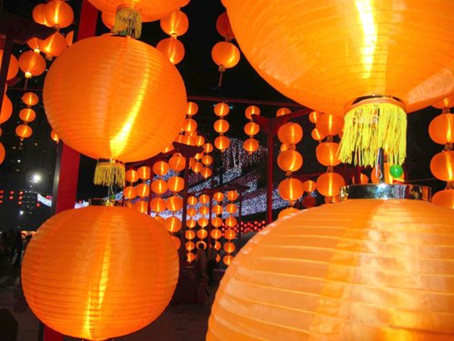 當日設有大型燈謎會,讓寵主及寵物一同猜猜燈謎。(D2Place) 當日設有大型燈謎會,讓寵主及寵物一同猜猜燈謎。(D2Place)