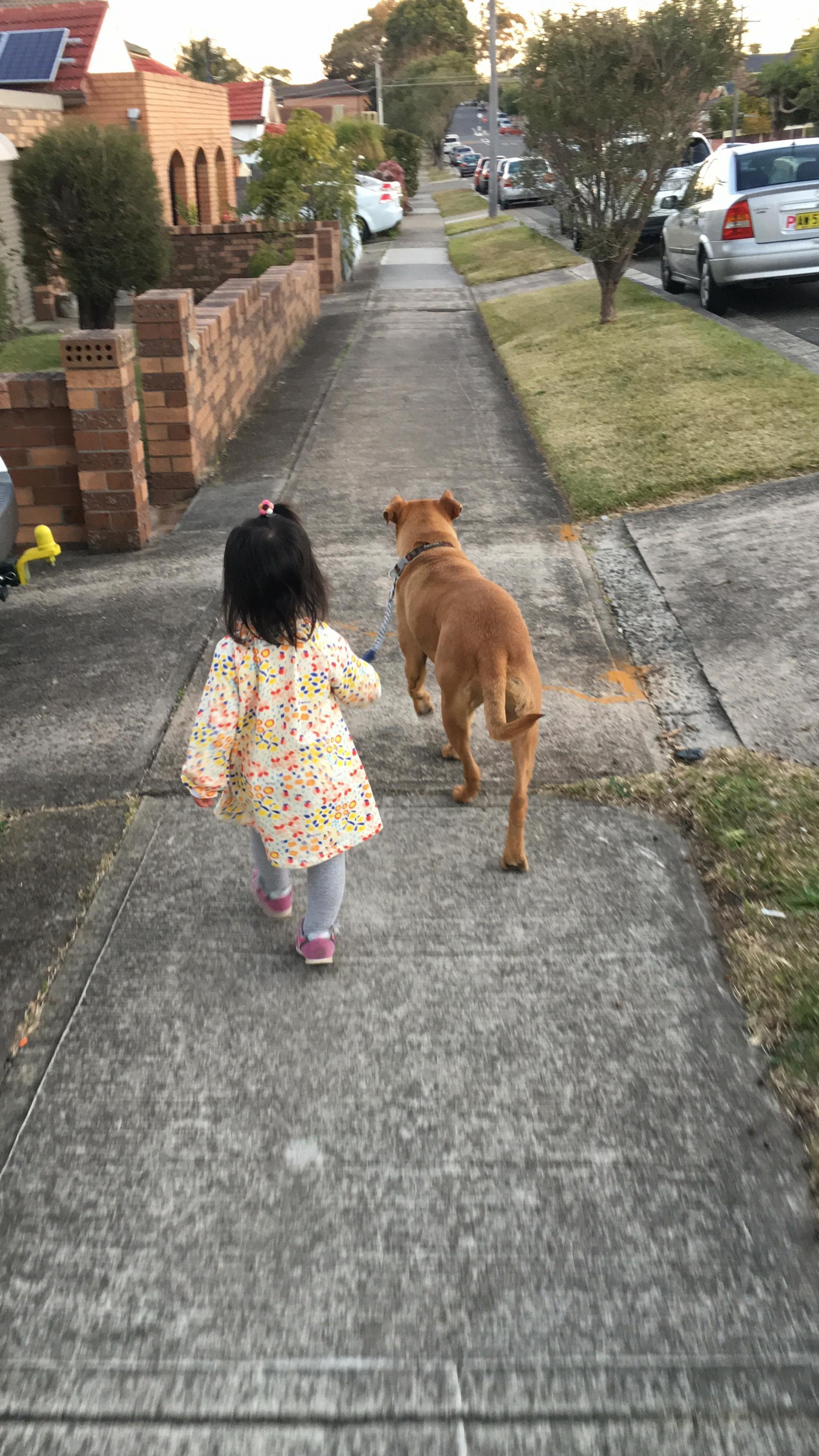 孩子跟狗狗相處良好,不時都一起外出散步。(受訪者Tracy提供) 孩子跟狗狗相處良好,不時都一起外出散步。(受訪者Tracy提供)