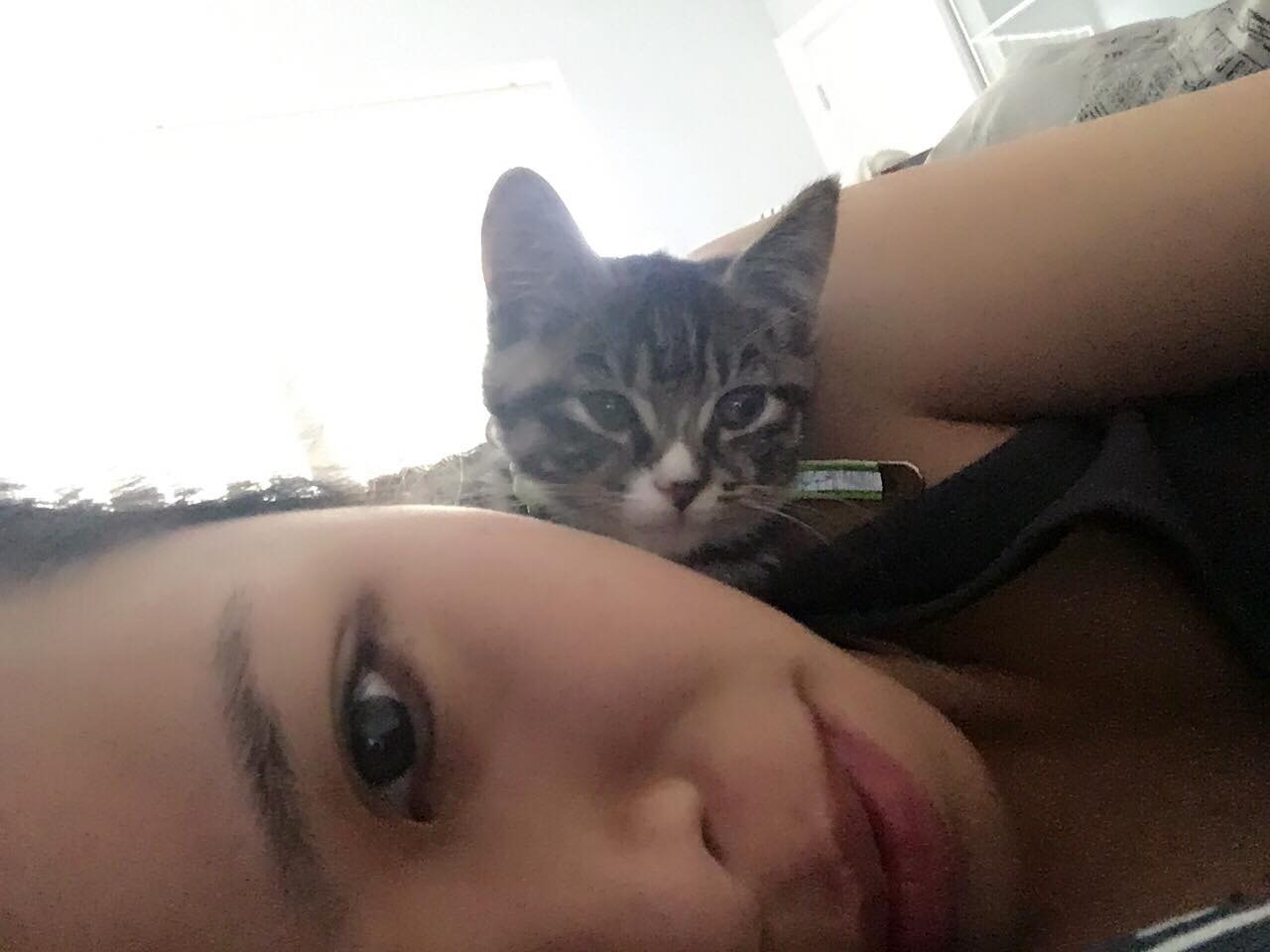 現在的Tracy也變成了一個愛貓之人。(受訪者Tracy提供) 現在的Tracy也變成了一個愛貓之人。(受訪者Tracy提供)