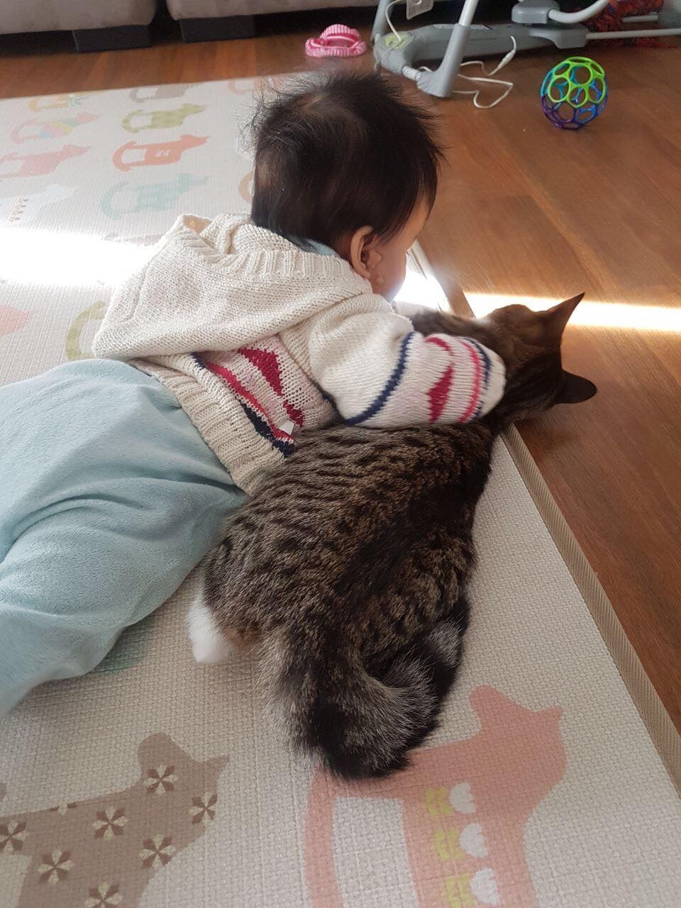 Tracy希望大家不要怕在懷孕期間不能養寵物。(受訪者Tracy提供) Tracy希望大家不要怕在懷孕期間不能養寵物。(受訪者Tracy提供)