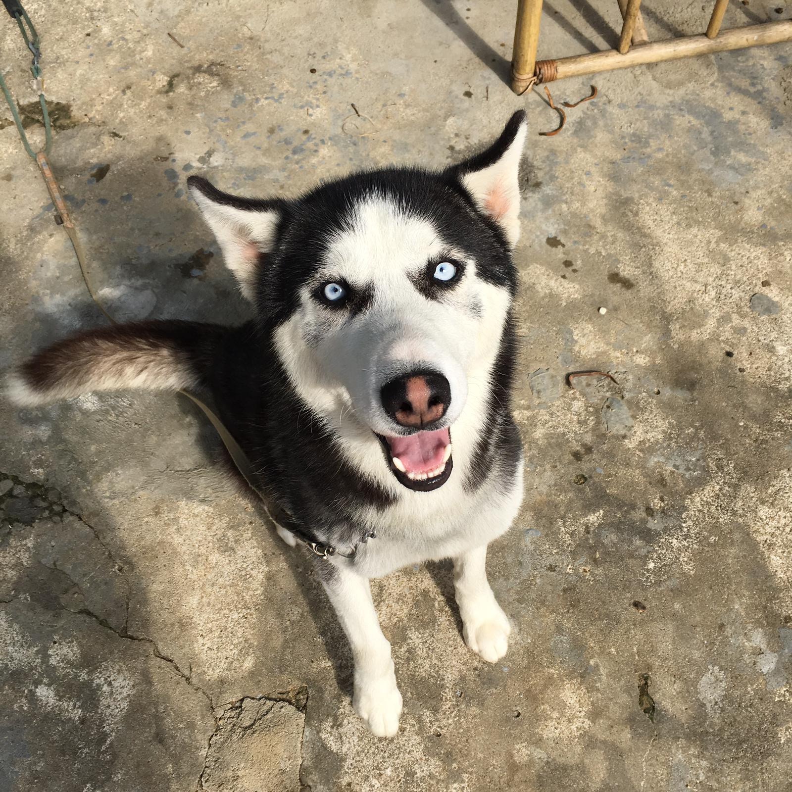 (照片由受訪者提供) (照片由受訪者提供)