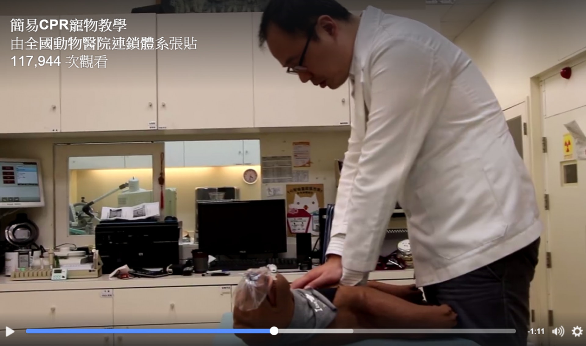 飼主必學 主子休克點算好 獸醫教你幫貓狗做cpr 香港01 寵物 飼主必學 主子休克點算好 獸醫教你幫貓狗做cpr 香港01 寵物