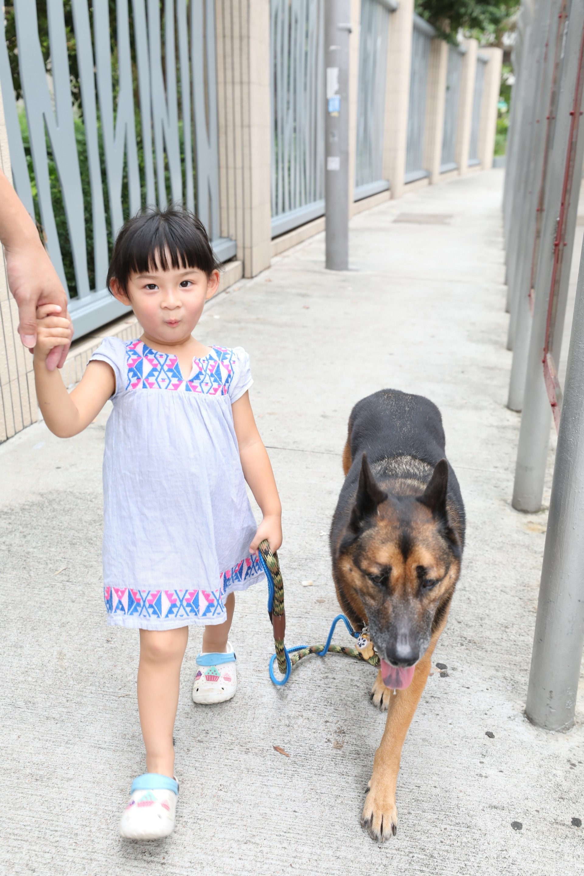 每當Yuki與女兒一同帶「衍衍」散步時,總會有不少路人對她提出質疑。(吳嘉俊攝) 每當Yuki與女兒一同帶「衍衍」散步時,總會有不少路人對她提出質疑。(吳嘉俊攝)
