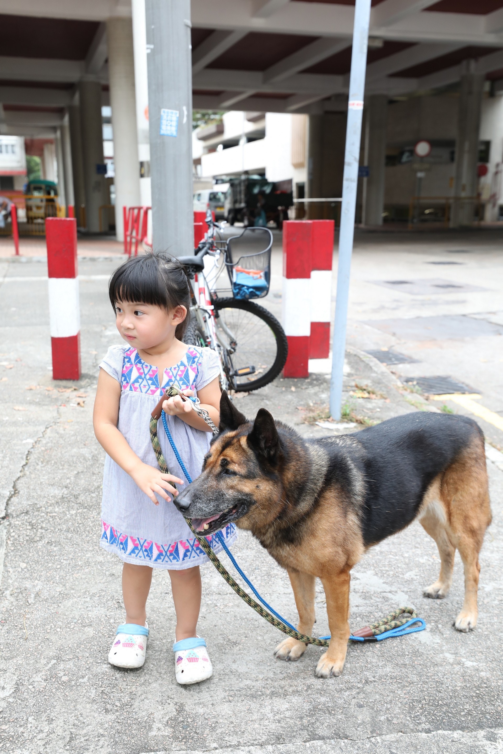 不少旁人都會問Yuki「你不害怕狗狗會咬女兒嗎?」(吳嘉俊攝) 不少旁人都會問Yuki「你不害怕狗狗會咬女兒嗎?」(吳嘉俊攝)