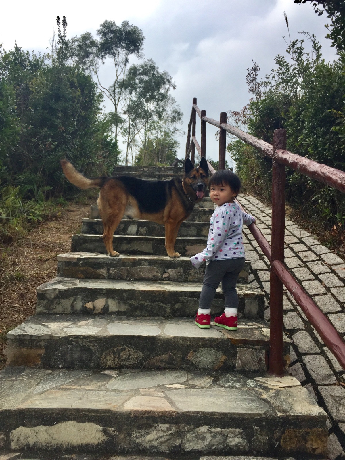 希怡經常跟「衍衍」一同散步。(受訪者提供) 希怡經常跟「衍衍」一同散步。(受訪者提供)