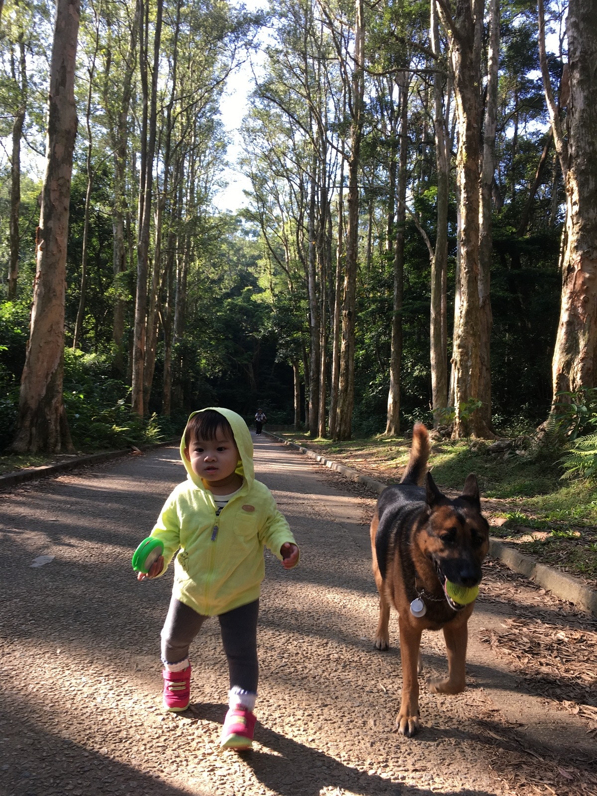 (受訪者提供) (受訪者提供)