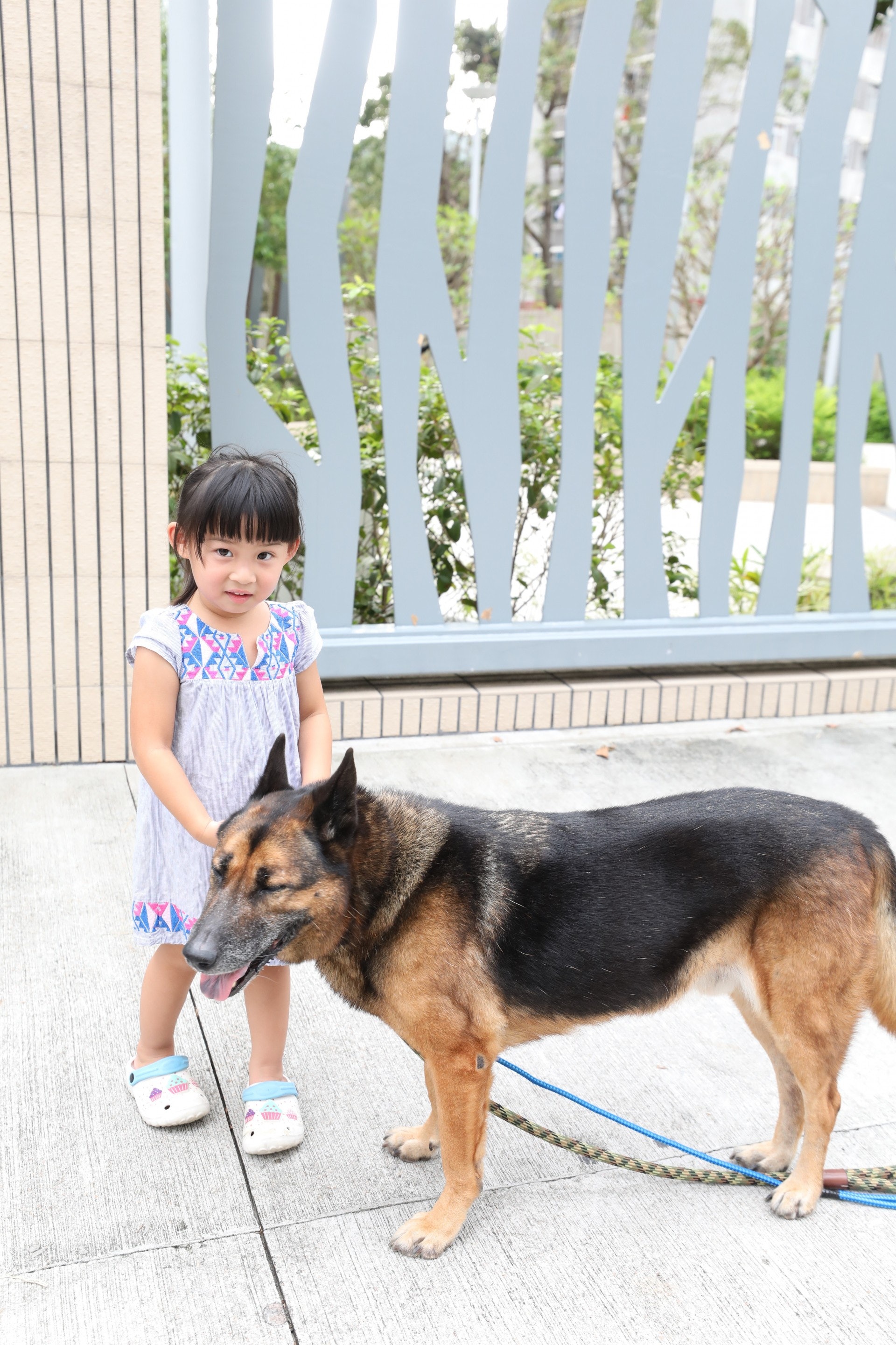 (吳嘉俊攝) (吳嘉俊攝)