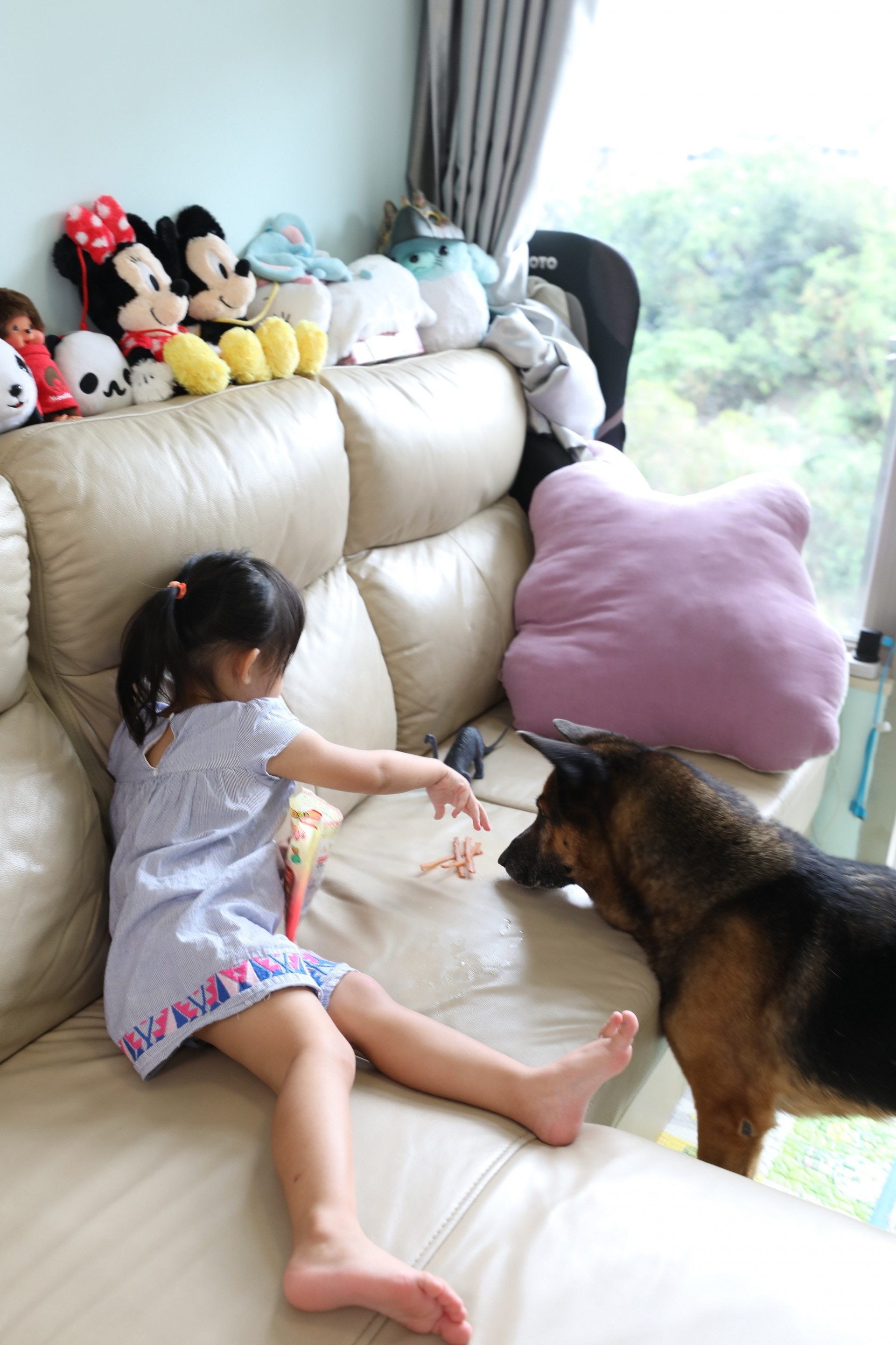 Yuki於2年前開設了Facebook專頁,紀錄「衍衍」和女兒的生活軼事。(吳嘉俊攝) Yuki於2年前開設了Facebook專頁,紀錄「衍衍」和女兒的生活軼事。(吳嘉俊攝)