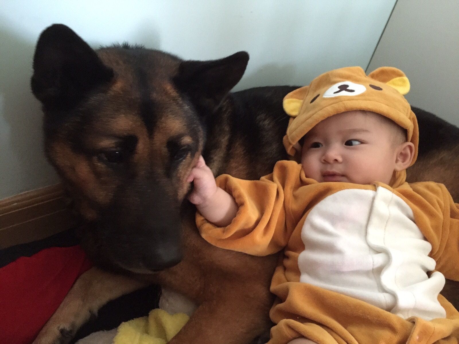 Yuki於2年前開設了Facebook專頁,紀錄「衍衍」和女兒的生活軼事。(受訪者提供) Yuki於2年前開設了Facebook專頁,紀錄「衍衍」和女兒的生活軼事。(受訪者提供)