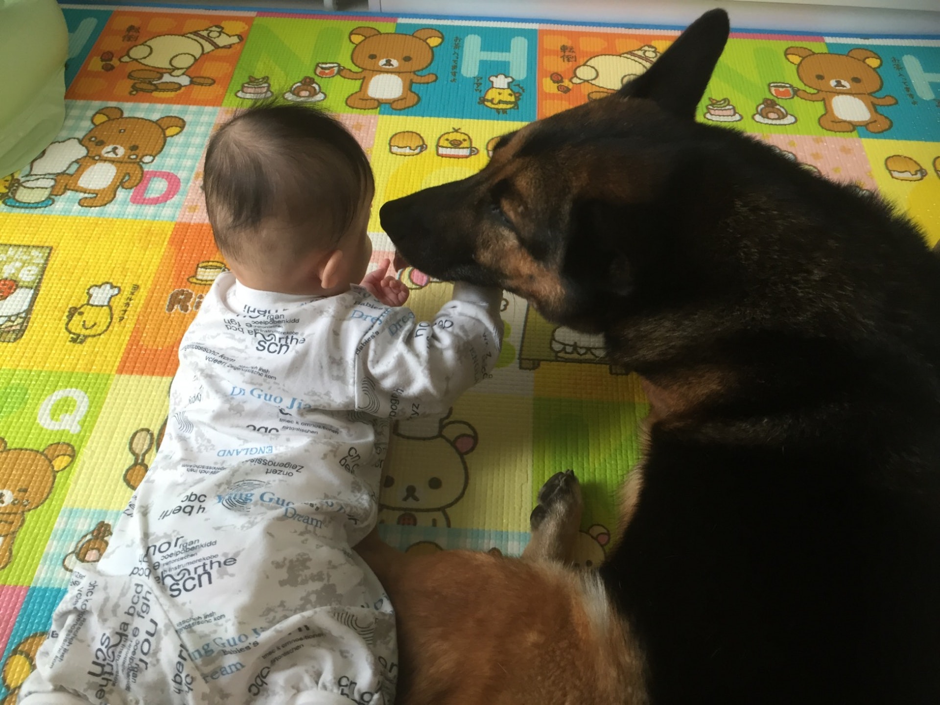 Yuki於2年前開設了Facebook專頁,紀錄「衍衍」和女兒的生活軼事。(受訪者提供) Yuki於2年前開設了Facebook專頁,紀錄「衍衍」和女兒的生活軼事。(受訪者提供)