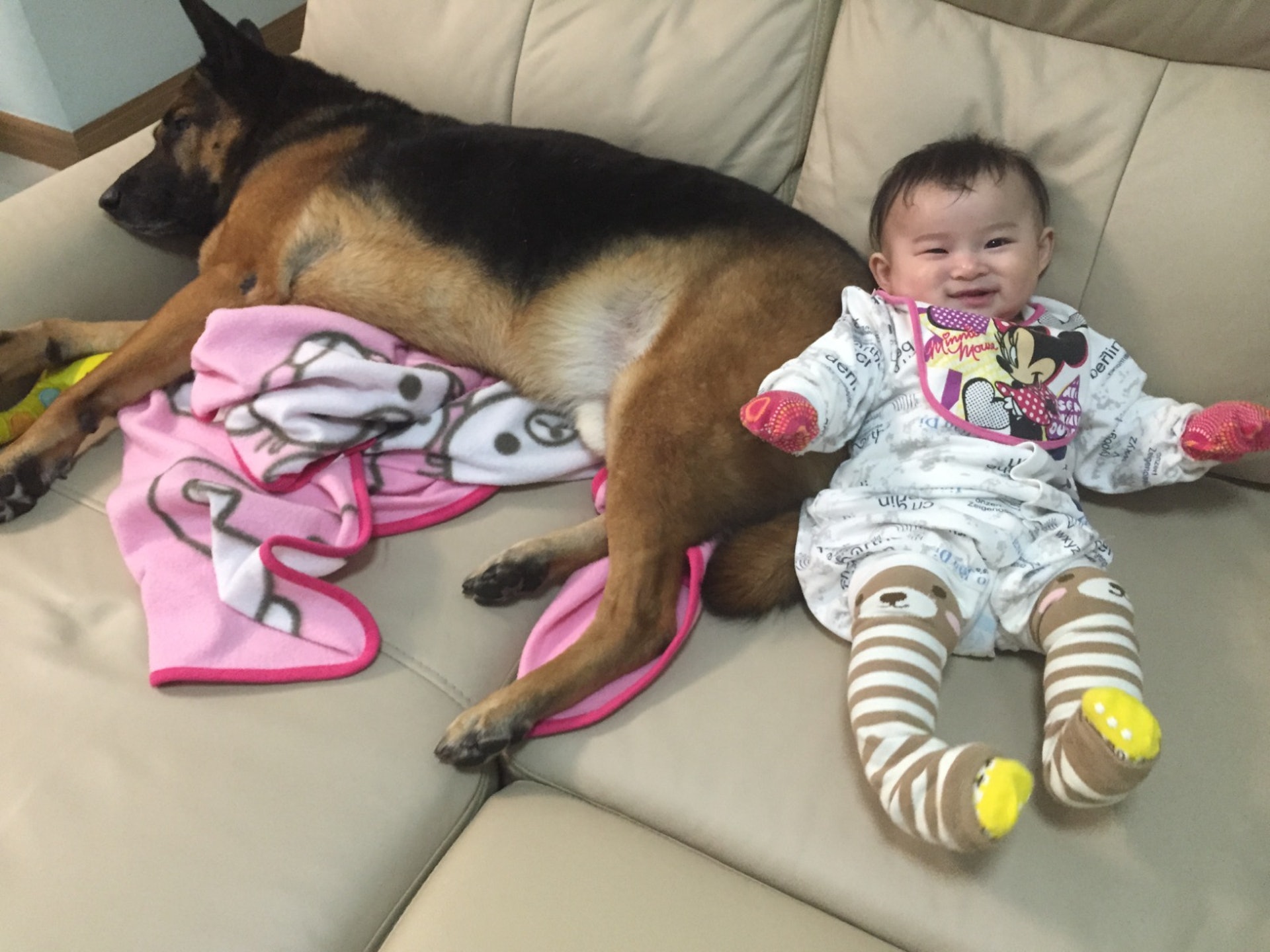 Yuki於2年前開設了Facebook專頁,紀錄「衍衍」和女兒的生活軼事。(受訪者提供) Yuki於2年前開設了Facebook專頁,紀錄「衍衍」和女兒的生活軼事。(受訪者提供)