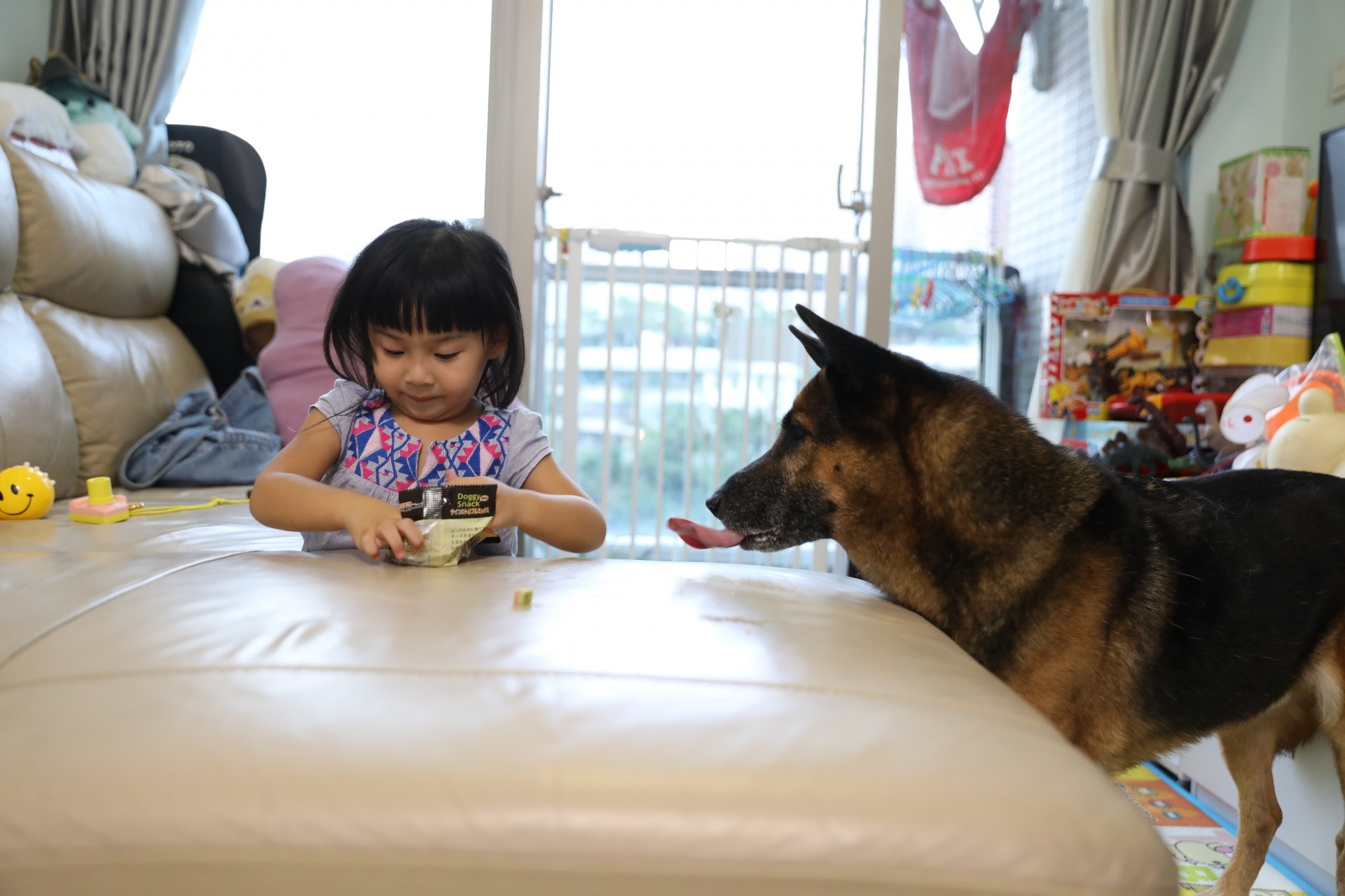 (吳嘉俊攝) (吳嘉俊攝)