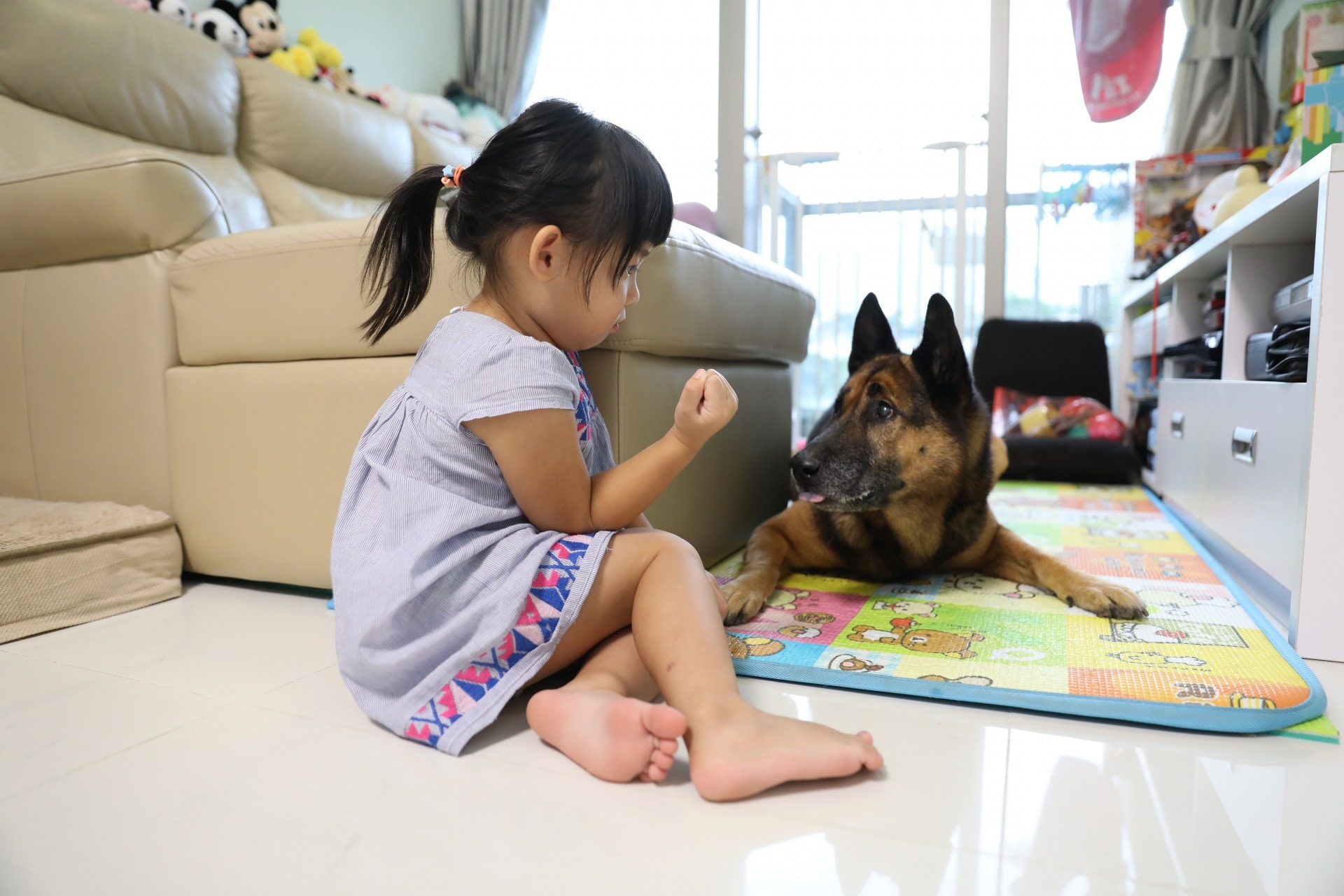 (吳嘉俊攝) (吳嘉俊攝)