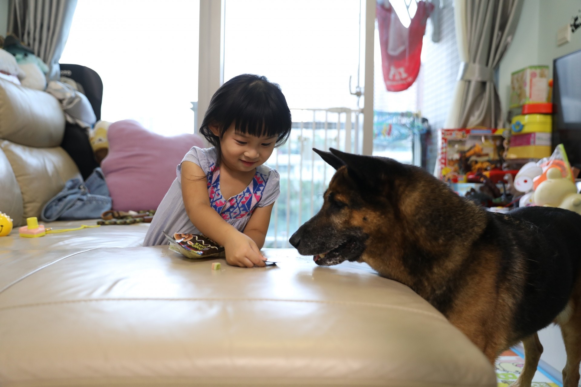 (吳嘉俊攝) (吳嘉俊攝)