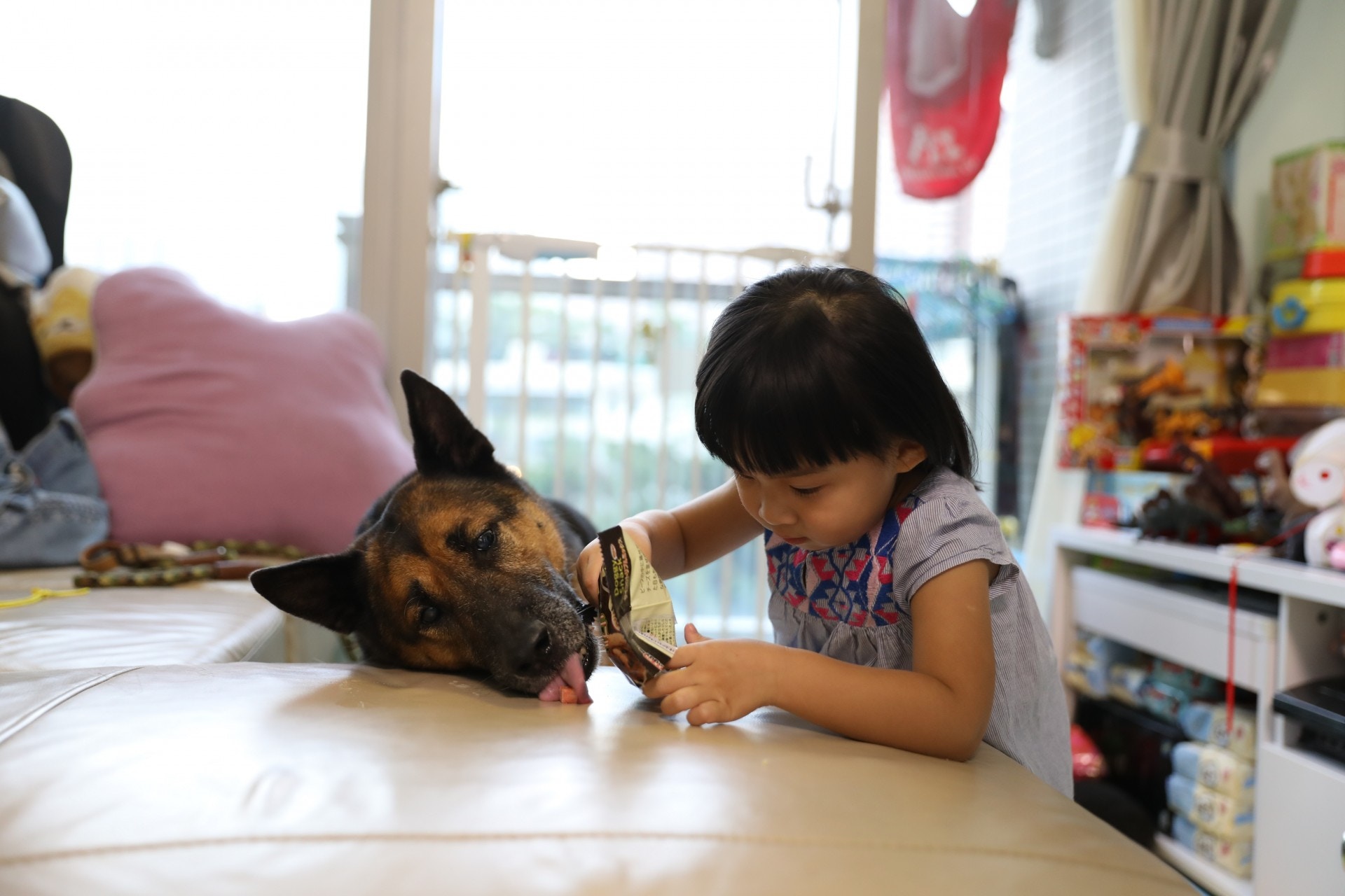 她指很多小孩即使長大後得知狗不會隨便咬人,但也不會主動接觸狗狗,令她深感可惜。(吳嘉俊攝) 她指很多小孩即使長大後得知狗不會隨便咬人,但也不會主動接觸狗狗,令她深感可惜。(吳嘉俊攝)
