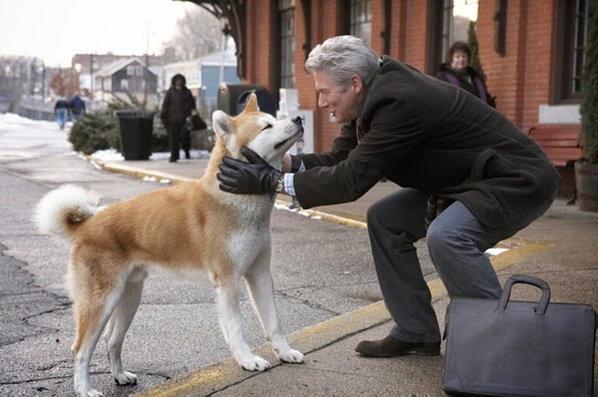 忠犬八公 求真百科 忠犬八公 求真百科