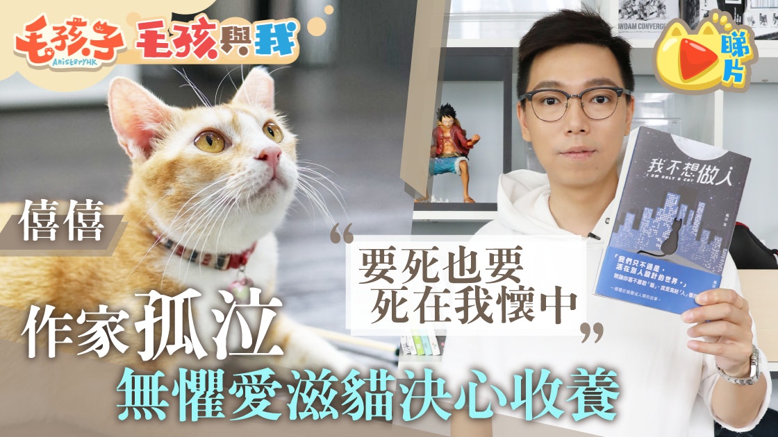 【毛孩與我】大排檔老闆慳二百元棄養愛滋貓 作家孤泣決心收養 【毛孩與我】大排檔老闆慳二百元棄養愛滋貓 作家孤泣決心收養
