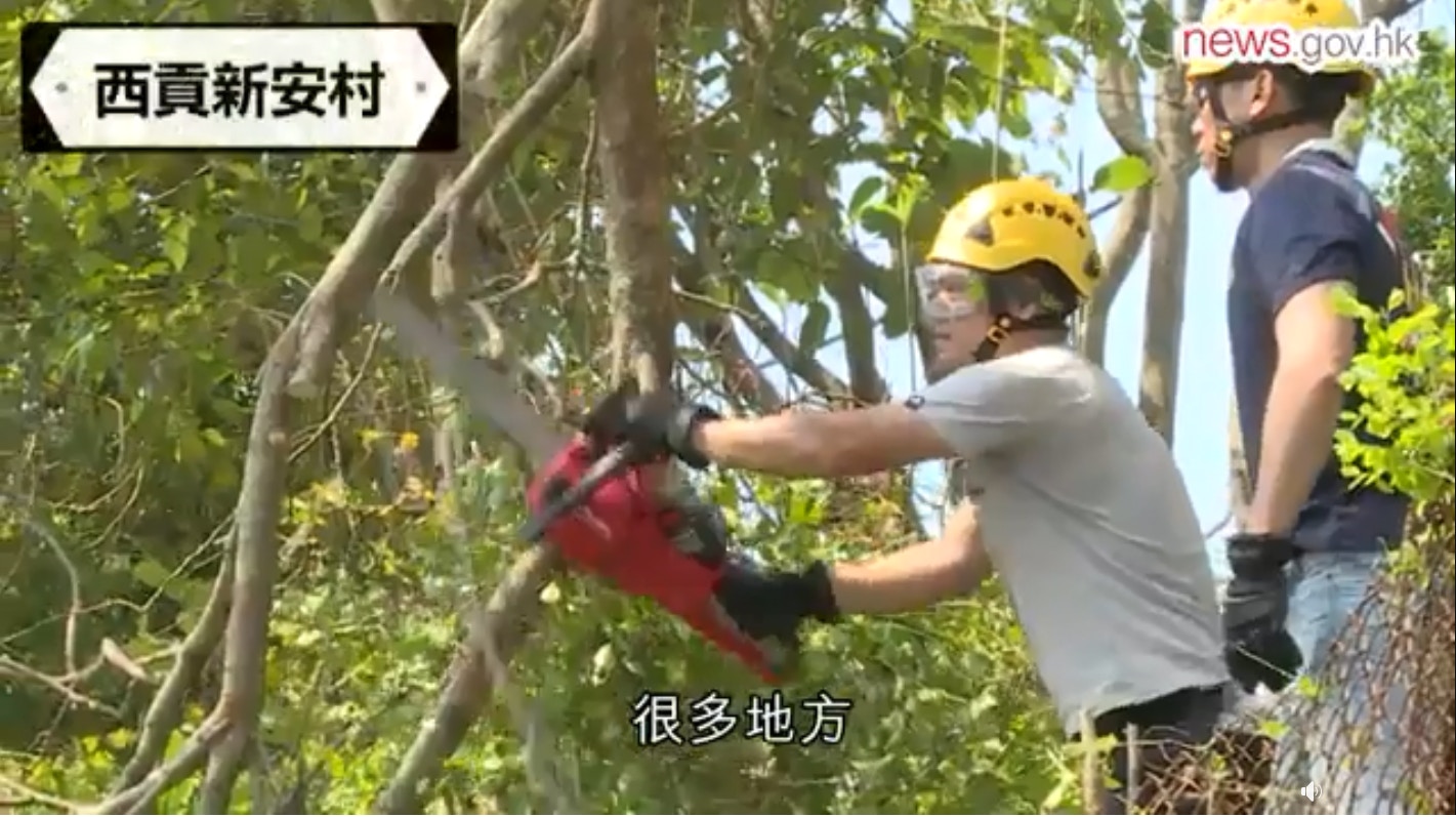 【山竹餘波】紀律部隊組休班義工隊　助偏遠地區居民清理塌樹