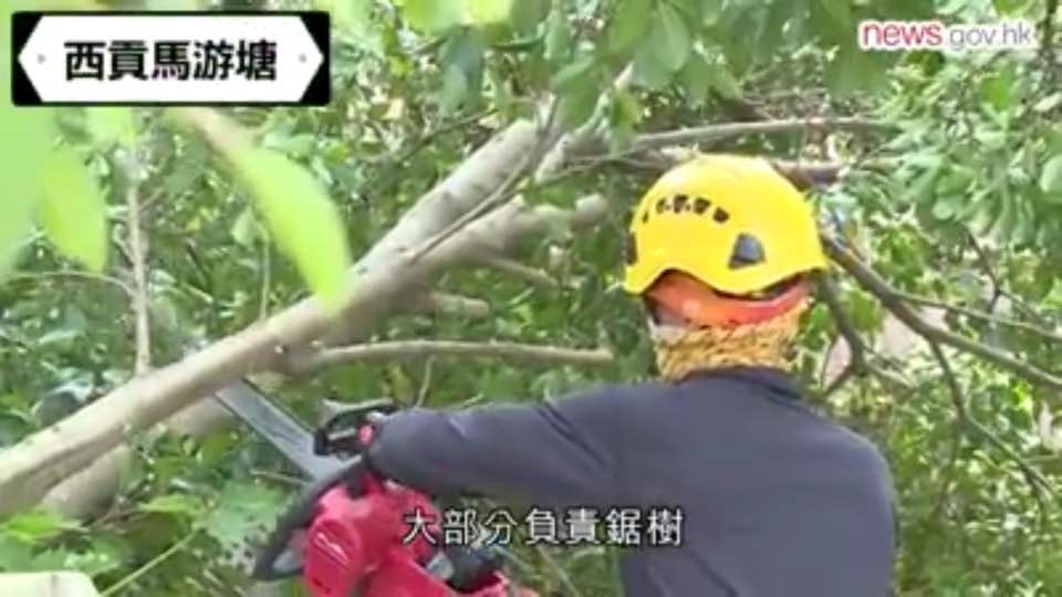 多個紀律部隊組織「休班紀律部隊義工」，到秀茂坪至寶林之間的馬游塘協助清理塌樹。（政府新聞處影片截圖）