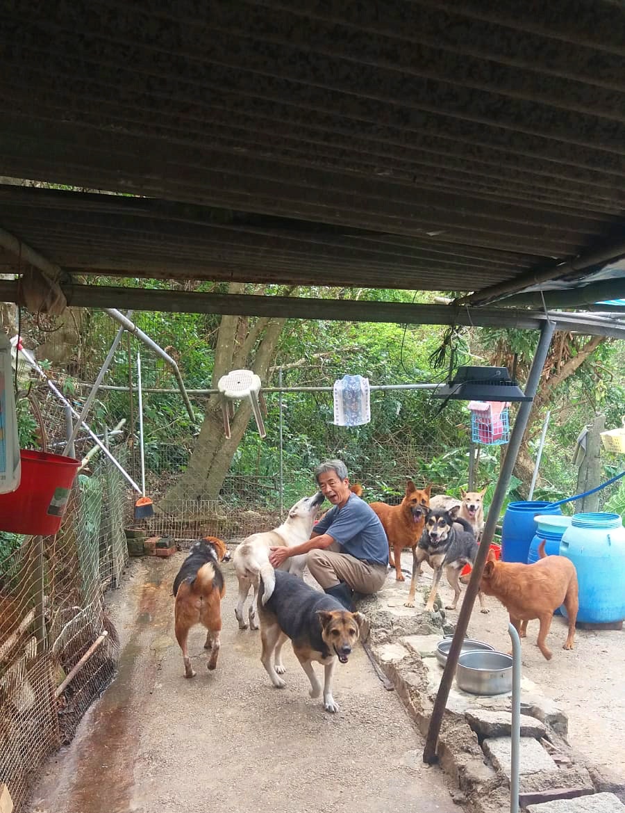 10號風球當天陳伯亦有留守狗場。（受訪者提供）