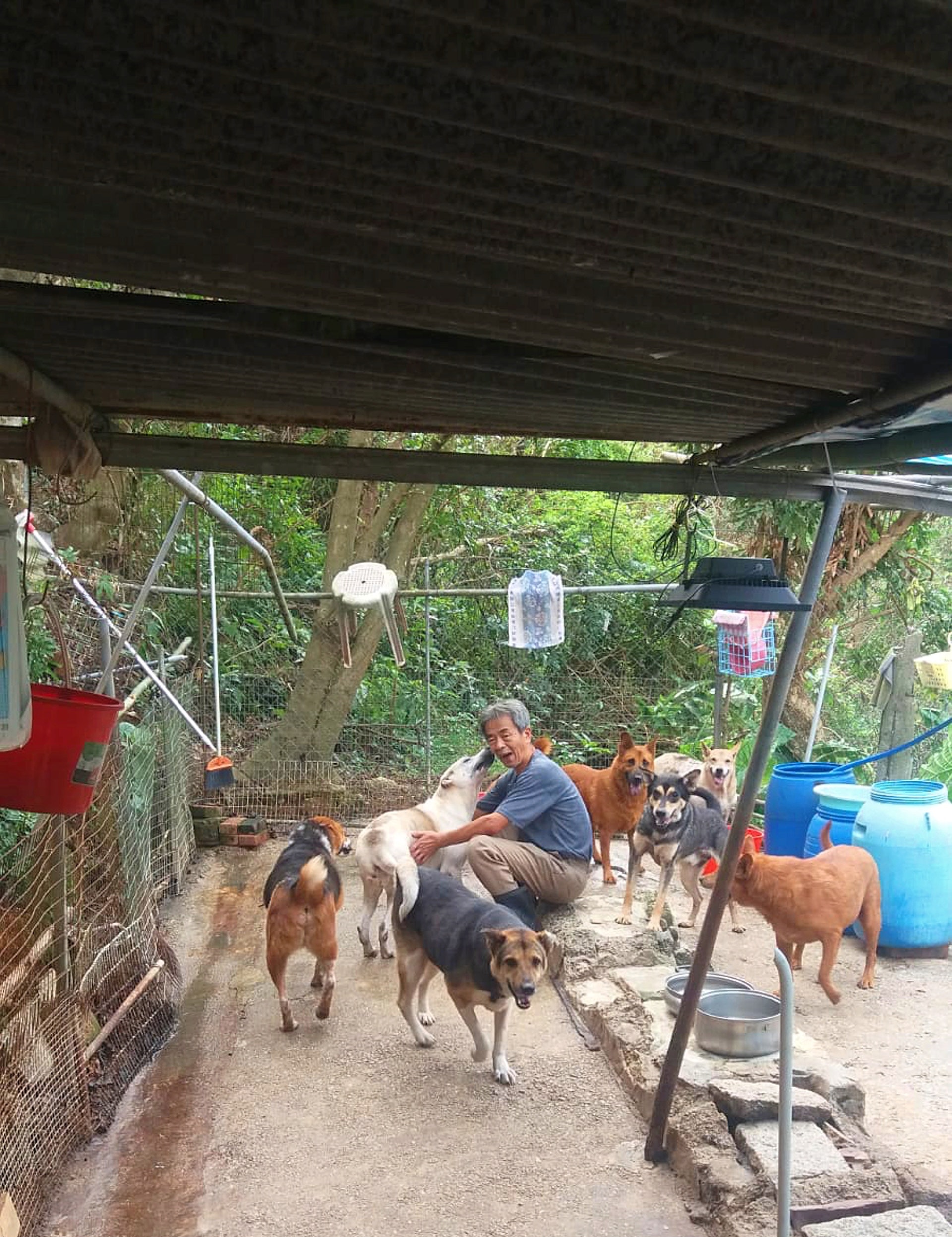 10號風球當天陳伯亦有留守狗場。(受訪者提供) 10號風球當天陳伯亦有留守狗場。(受訪者提供)