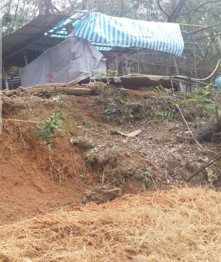 （受訪者提供）