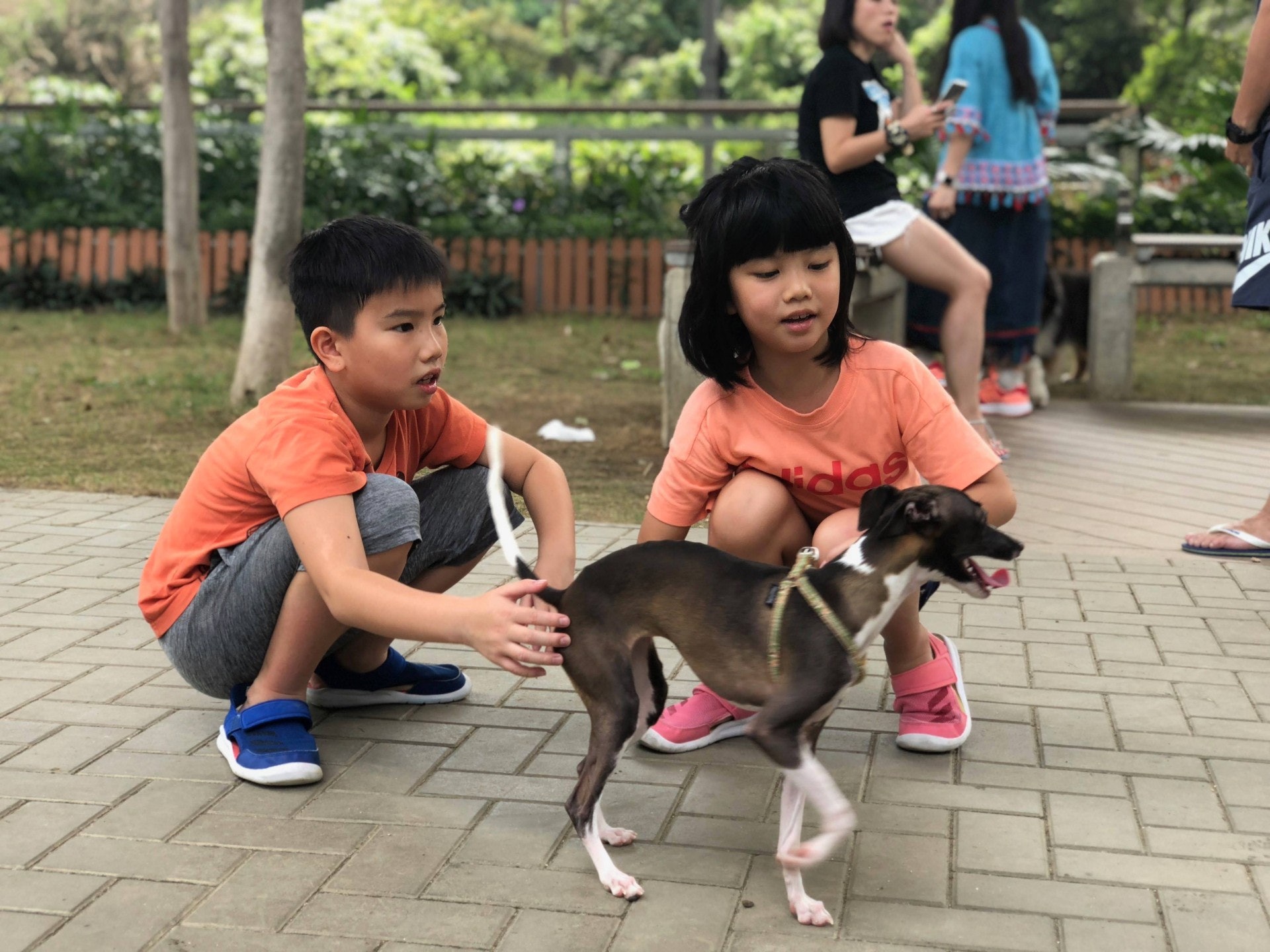 Annie的一對子女與「鈴鈴」感情甚佳,因此她不忍告知他們走失一事。(受訪者提供) Annie的一對子女與「鈴鈴」感情甚佳,因此她不忍告知他們走失一事。(受訪者提供)