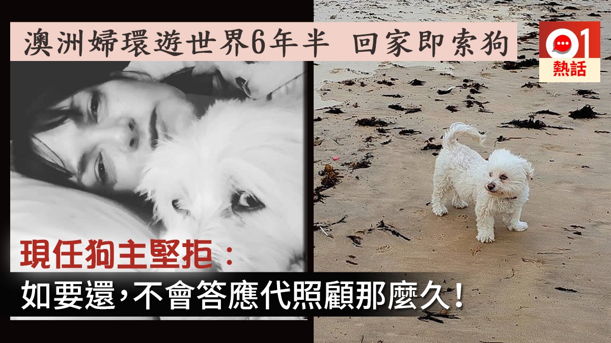 拋低小狗環遊世界6年半　澳洲婦稱暫托　問現任狗主索回不果索償