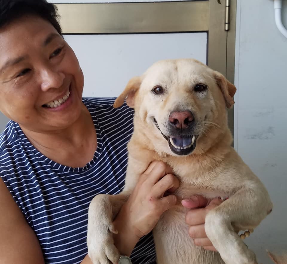 「香港流浪狗之家」負責人Angela對每隻狗都惜而重之。(「香港流浪狗之家」提供) 「香港流浪狗之家」負責人Angela對每隻狗都惜而重之。(「香港流浪狗之家」提供)