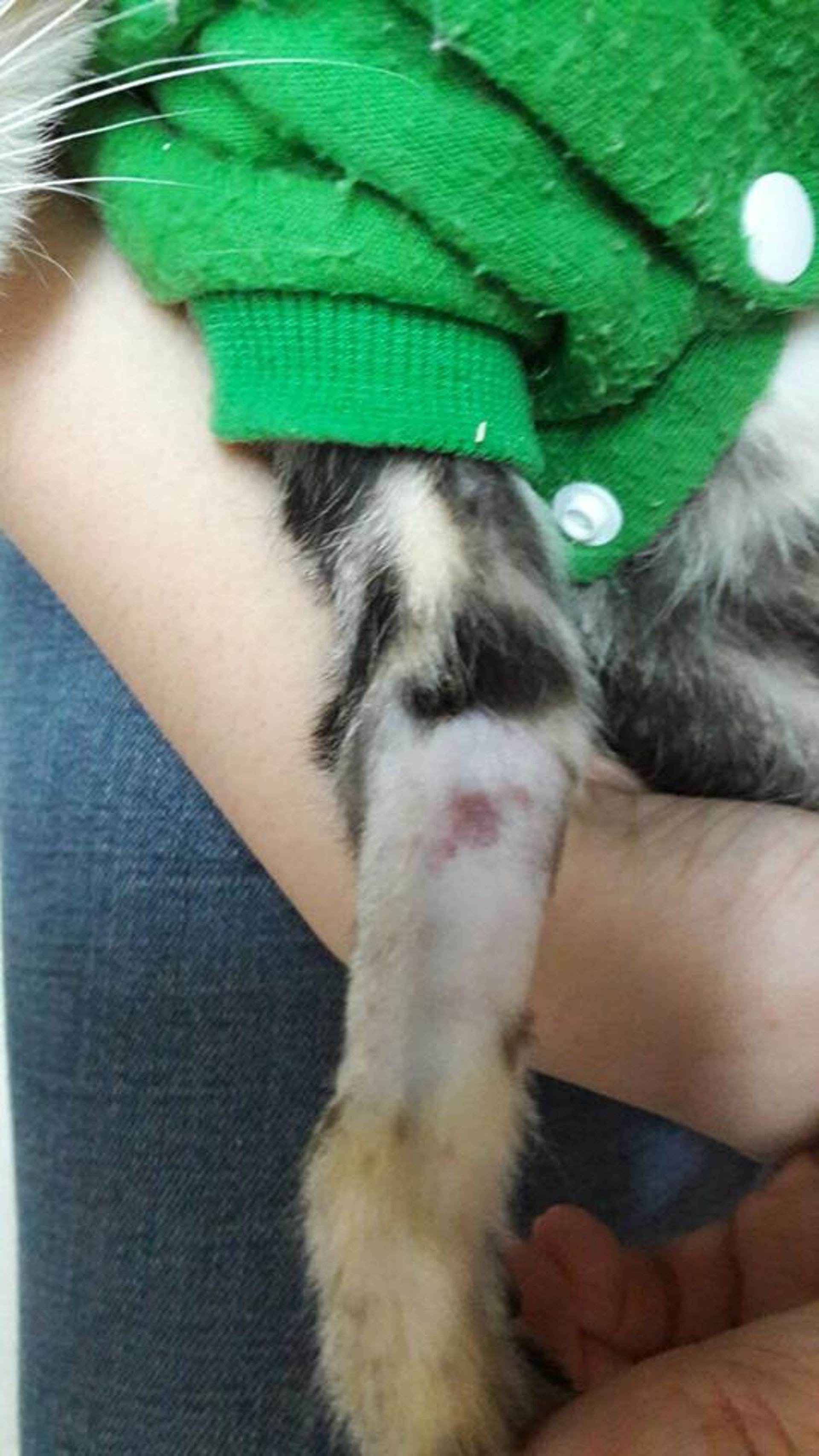 (相片由受訪者提供) (相片由受訪者提供)