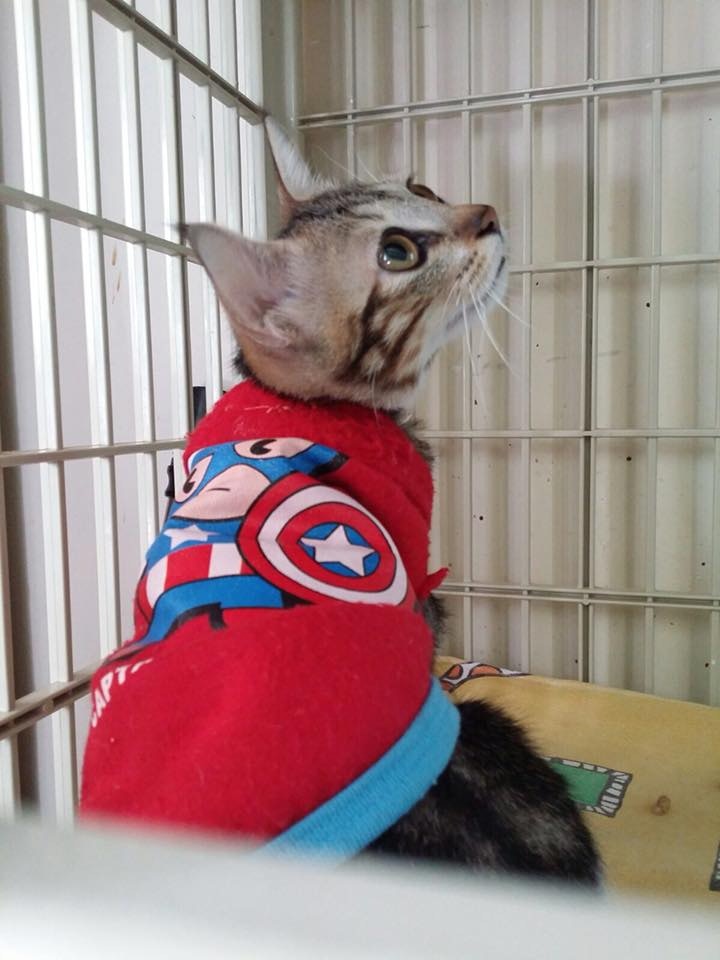 (相片由受訪者提供) (相片由受訪者提供)