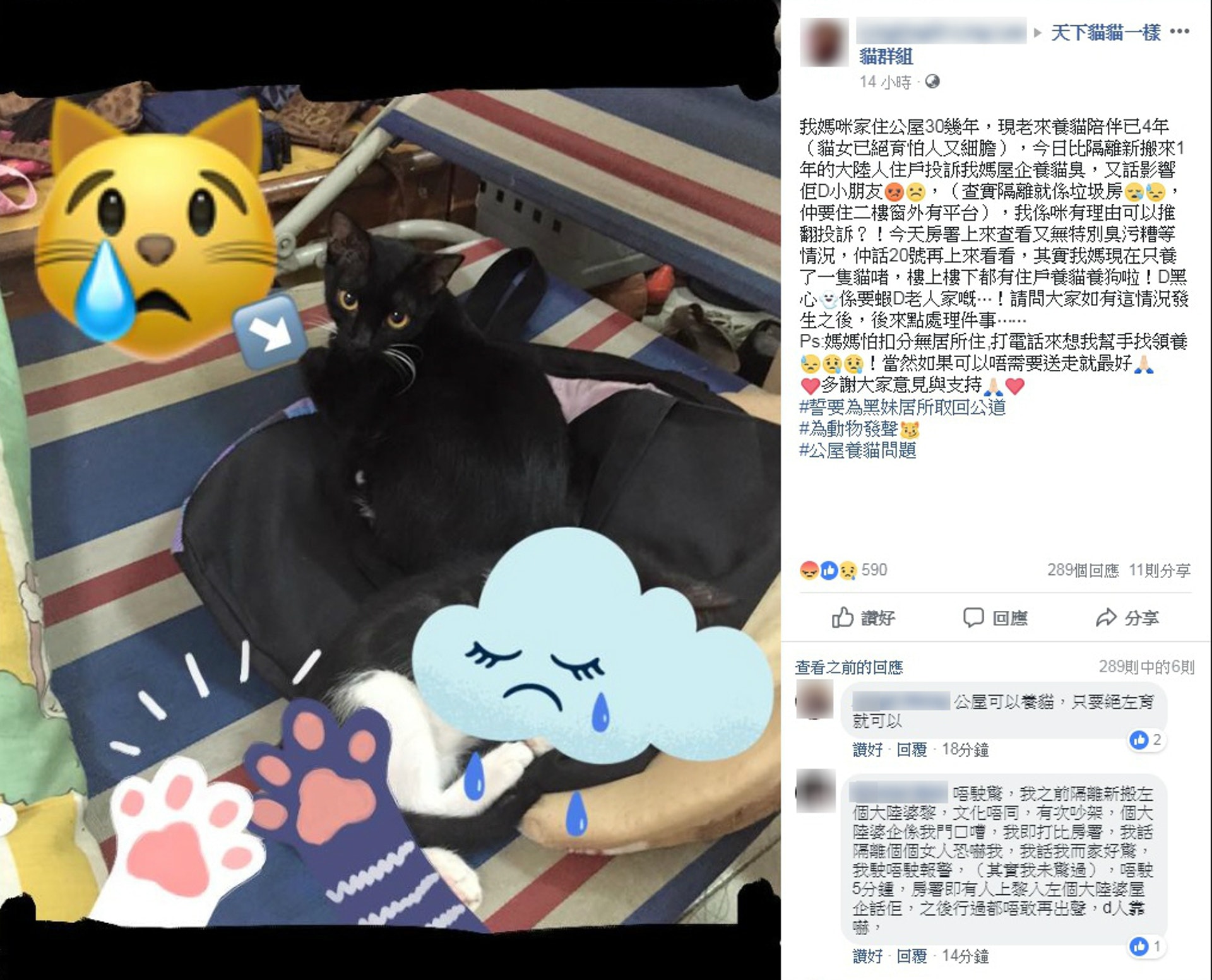 網民因養貓而被鄰居投訴,擔心人貓要分離。(網上截圖) 網民因養貓而被鄰居投訴,擔心人貓要分離。(網上截圖)