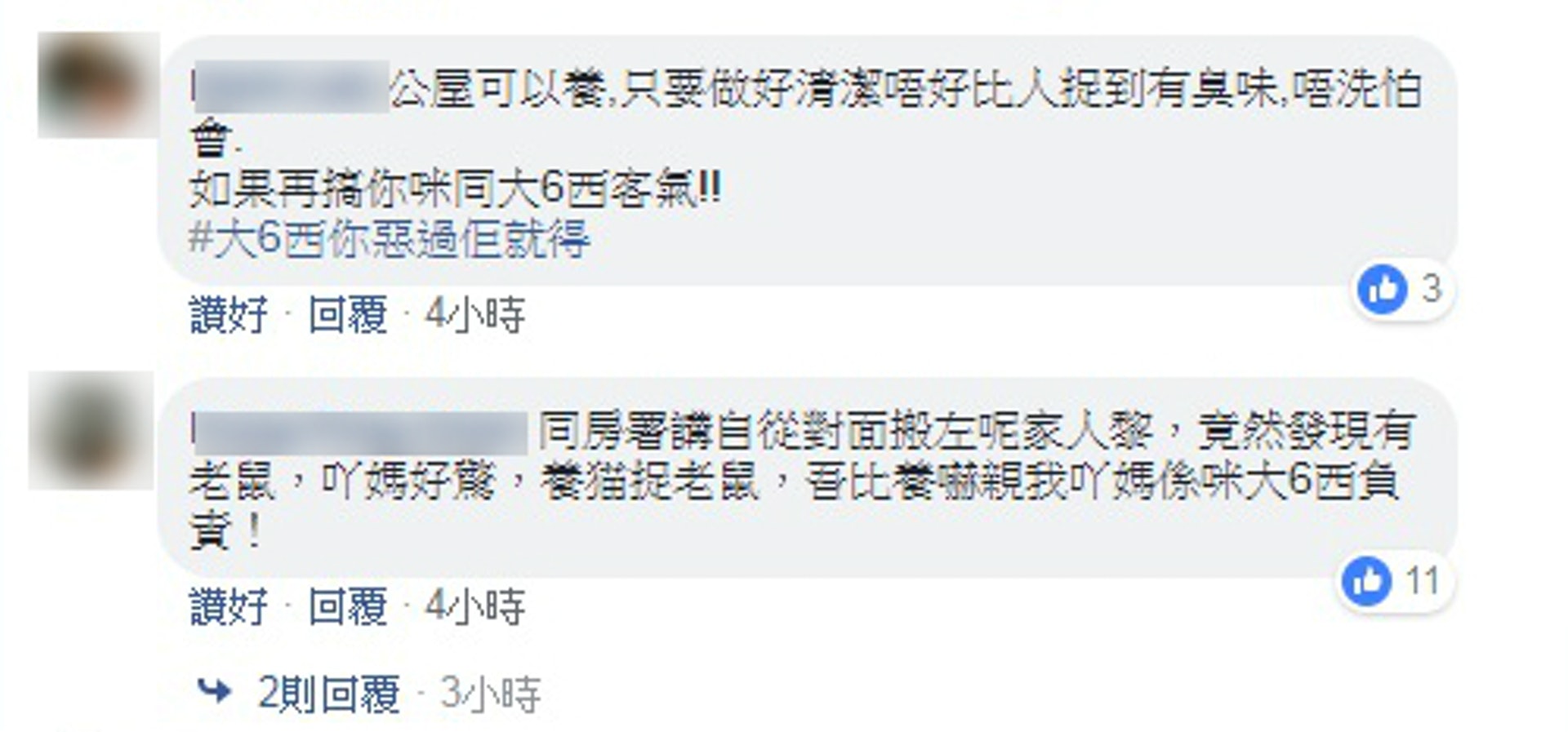 只要做好絕育,公屋可養貓!(網上截圖) 只要做好絕育,公屋可養貓!(網上截圖)