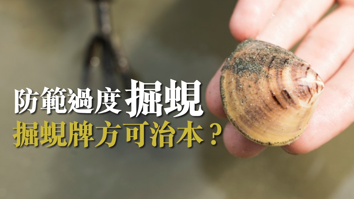 掘蜆監管不足發牌制度可減低生態破壞 香港01 01觀點