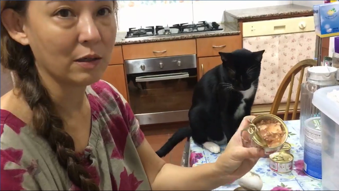 翁靜晶於facebook上傳多條影片,展示懷疑於網店購得MonPetit「假貓糧」。(facebook圖片) 翁靜晶於facebook上傳多條影片,展示懷疑於網店購得MonPetit「假貓糧」。(facebook圖片)