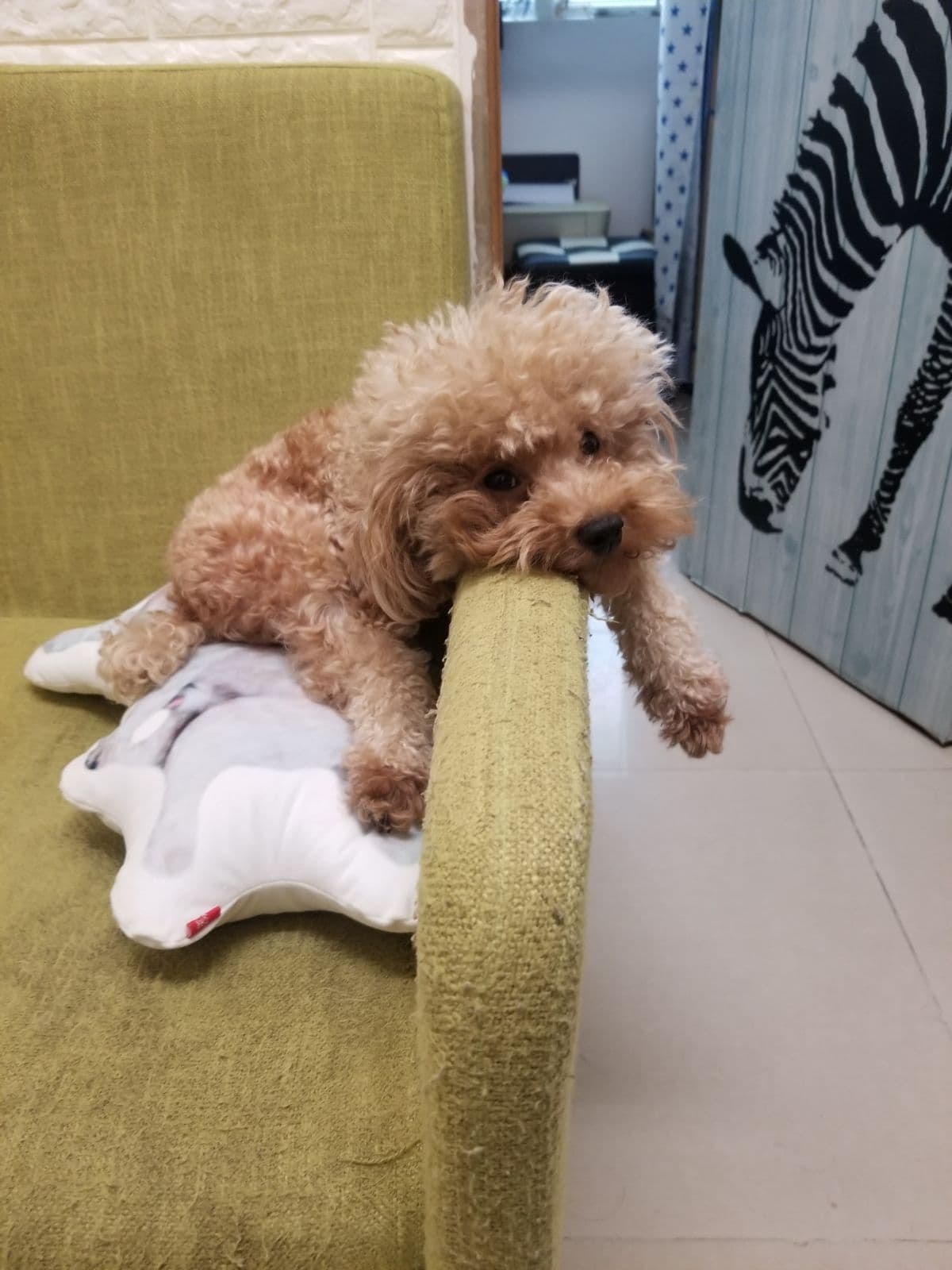 Lorna為了找回「細佬」,損失近萬元生意額。(受訪者提供) Lorna為了找回「細佬」,損失近萬元生意額。(受訪者提供)