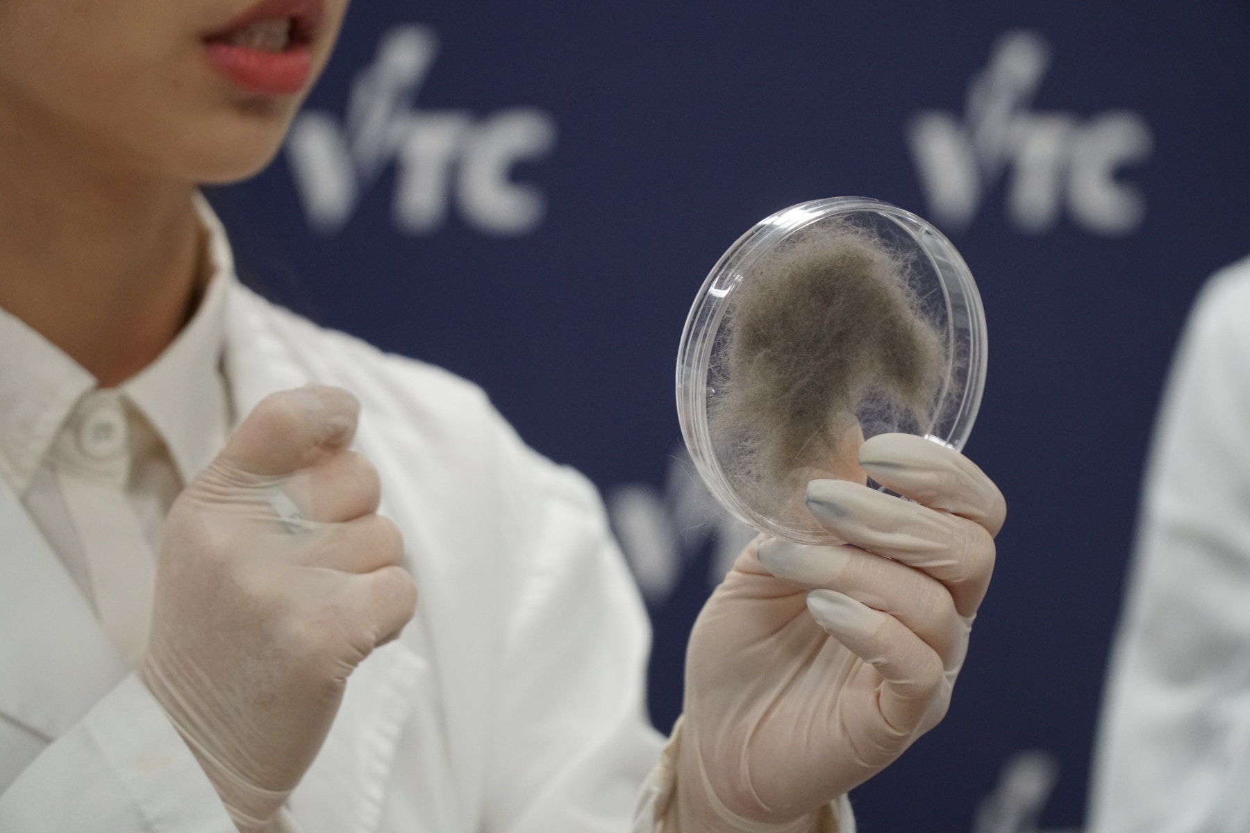 香港專業教育學院(IVE)五位就讀生物科技的同學,於本年5月成功掌握提取貓毛DNA檢測遺傳病技術,成全港首推。(鄧偉傑攝) 香港專業教育學院(IVE)五位就讀生物科技的同學,於本年5月成功掌握提取貓毛DNA檢測遺傳病技術,成全港首推。(鄧偉傑攝)