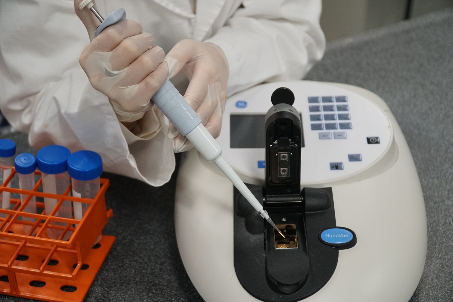 (鄧偉傑攝) (鄧偉傑攝)