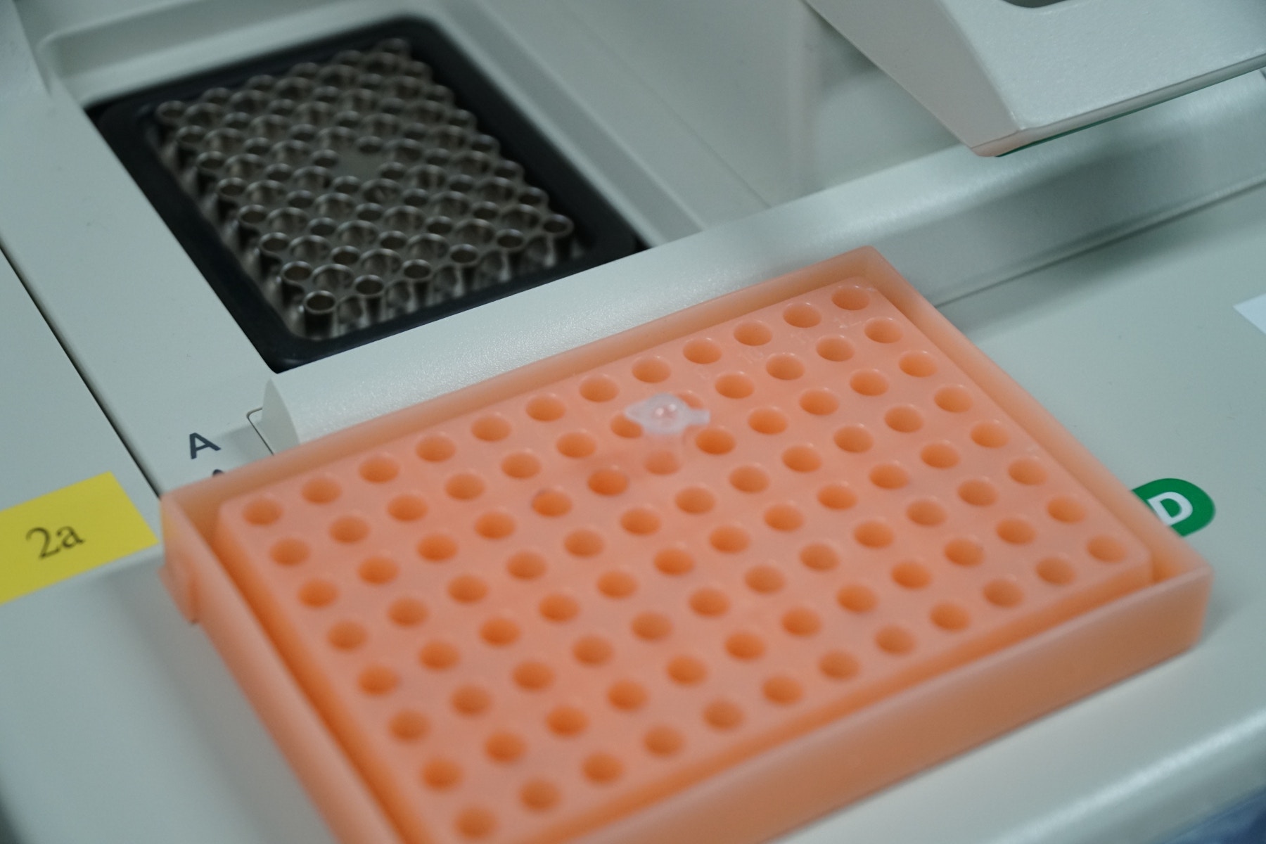 (鄧偉傑攝) (鄧偉傑攝)