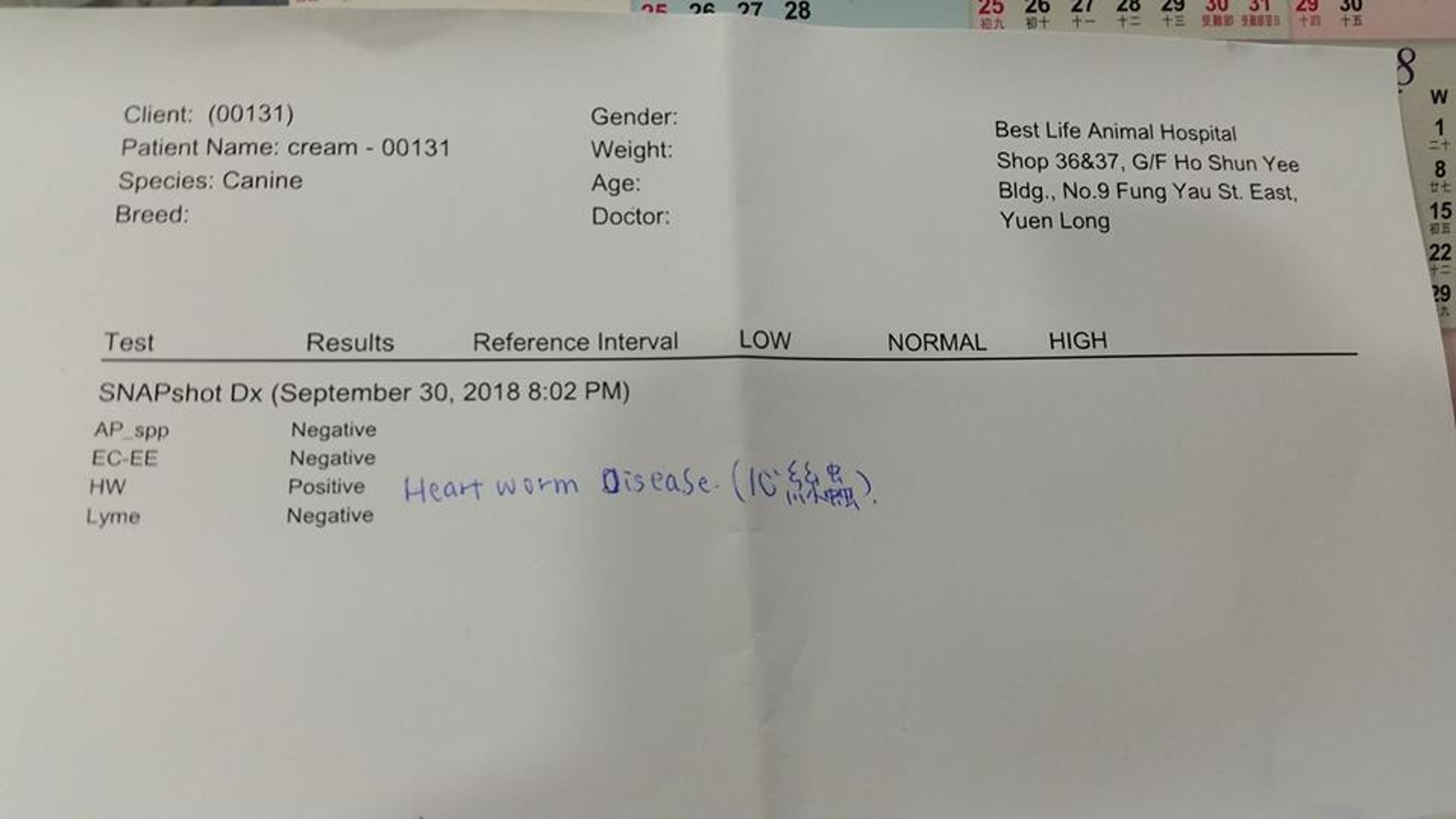 Gloria在原主人接回Cream前,自費帶牠到獸醫診所檢查,發現牠患有「心絲蟲」。(受訪者提供) Gloria在原主人接回Cream前,自費帶牠到獸醫診所檢查,發現牠患有「心絲蟲」。(受訪者提供)