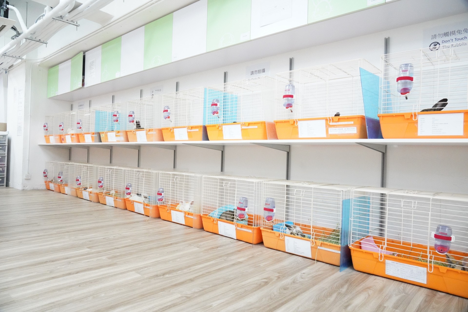 可容納近100隻兔兔。(植加祐攝) 可容納近100隻兔兔。(植加祐攝)