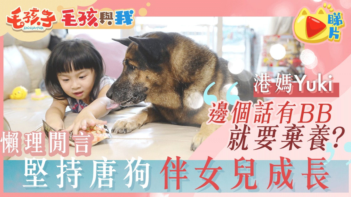 【毛孩與我】唐狗成女兒最忠實玩伴 港媽:懷孕不等於要棄養 【毛孩與我】唐狗成女兒最忠實玩伴 港媽:懷孕不等於要棄養