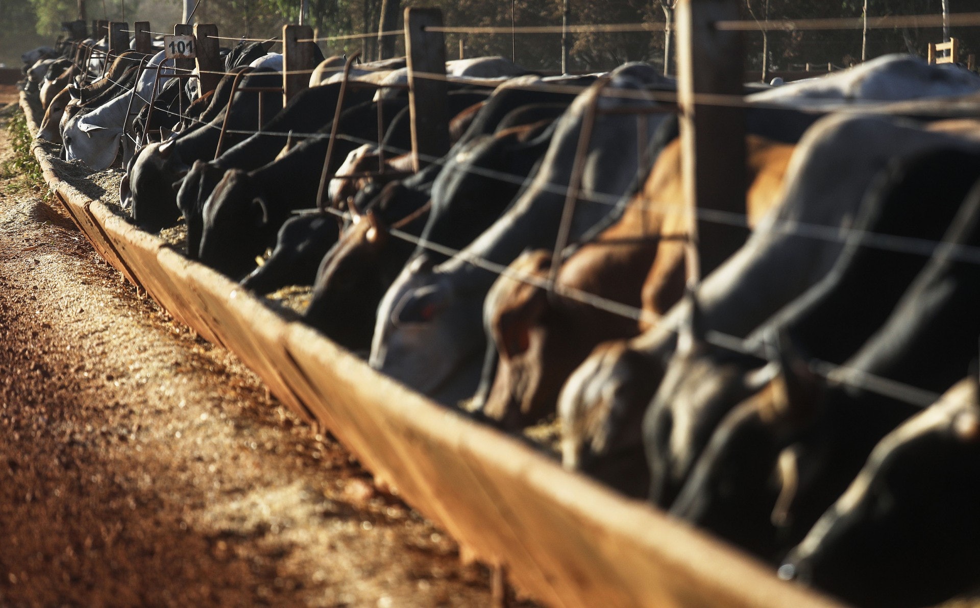 巴西是全球最大的紅肉出口國,故Beef就似是該國經濟的象徵。(VCG) 巴西是全球最大的紅肉出口國,故Beef就似是該國經濟的象徵。(VCG)