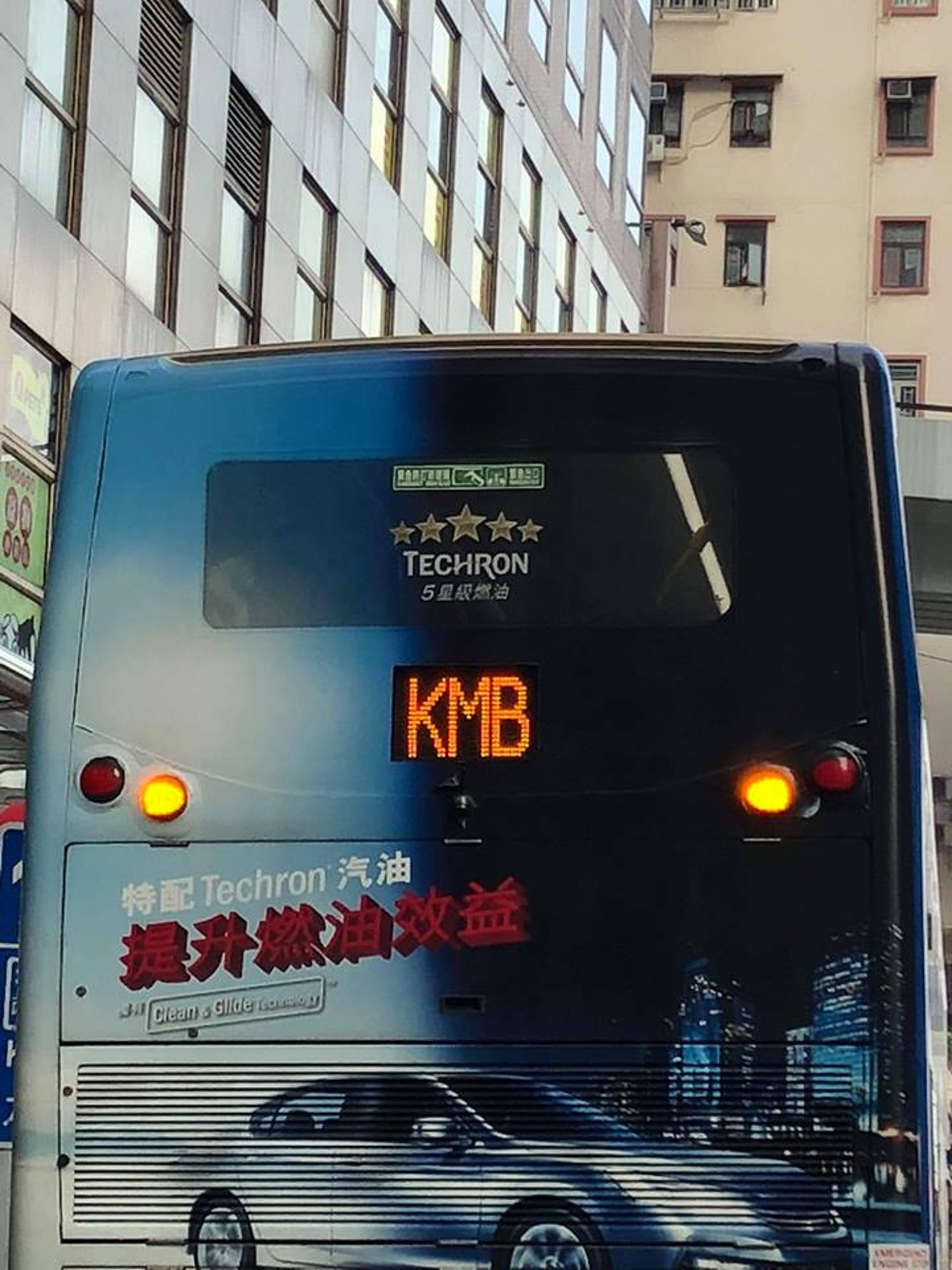 九巴回覆查詢時指，事件發生於今早7時許，一班由灣仔北開出前往九龍的巴士駛至屈地街附近時，突然有乘客發現車上有一隻白貓。（fb專頁「巴士台 HK Bus Channel」提供）