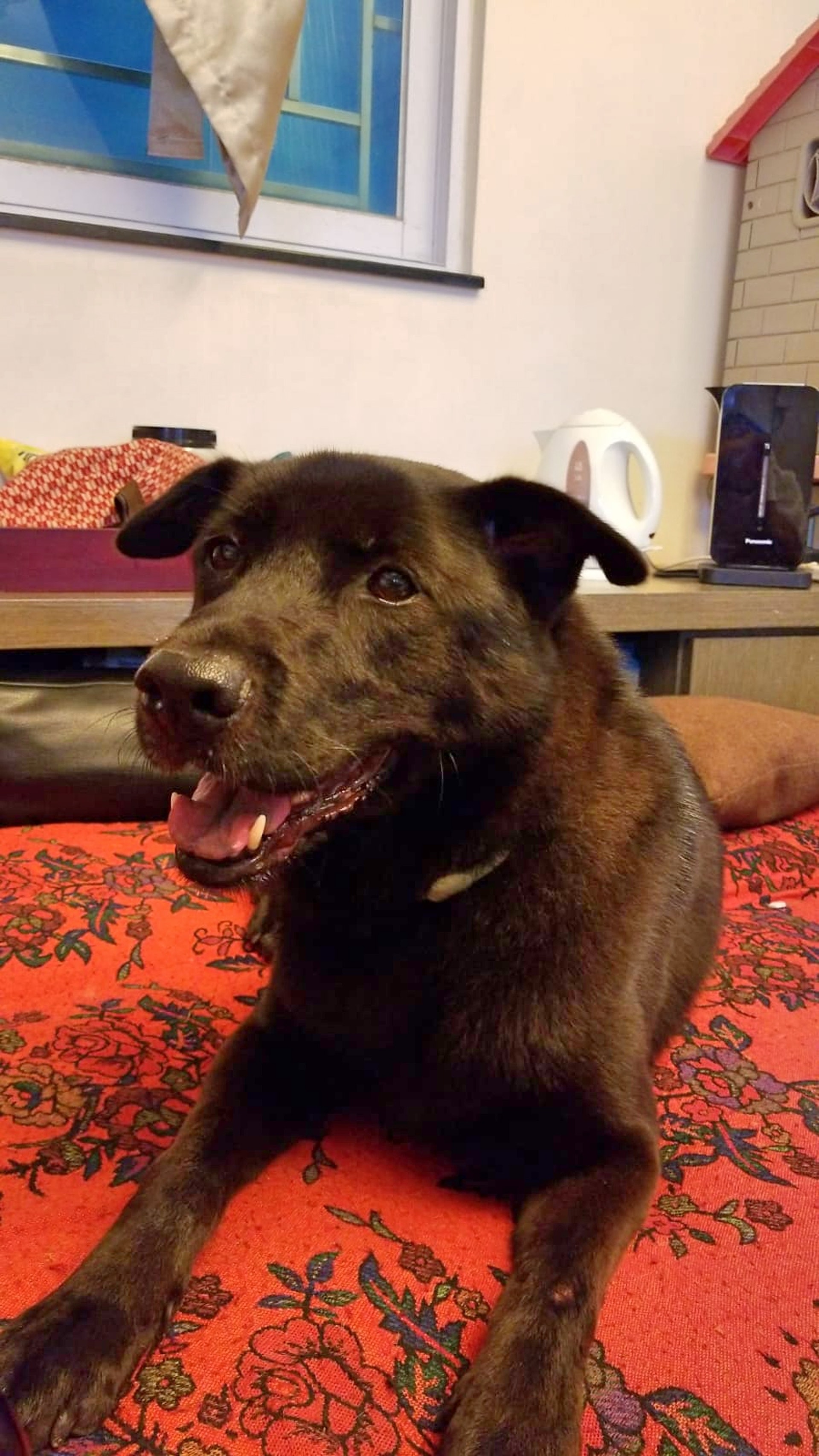 「妹妹」最新近照。(受訪者提供) 「妹妹」最新近照。(受訪者提供)